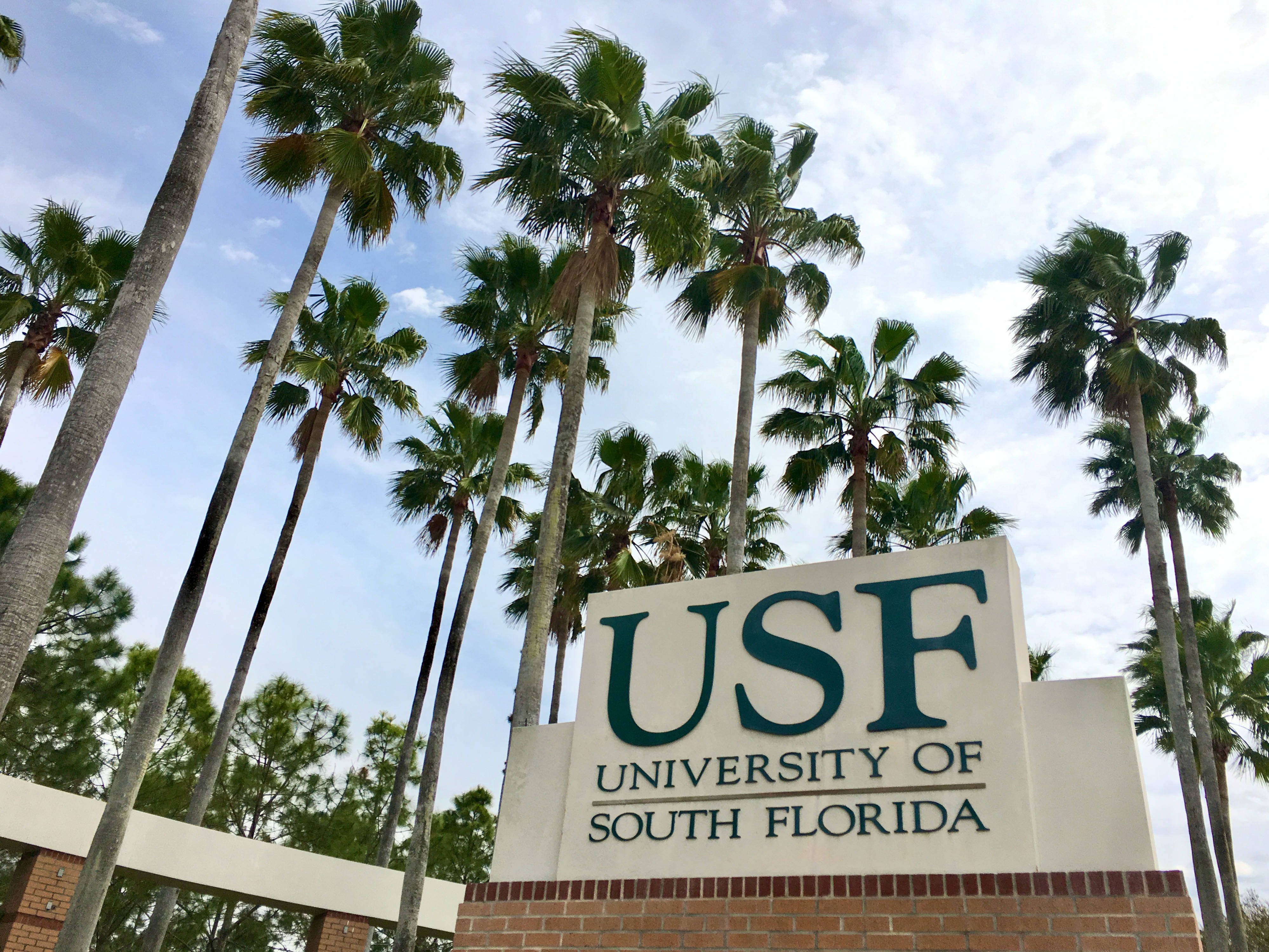 University Of South Florida, palm trees, partly cloudy sky, 4K Desktop Wallpaper