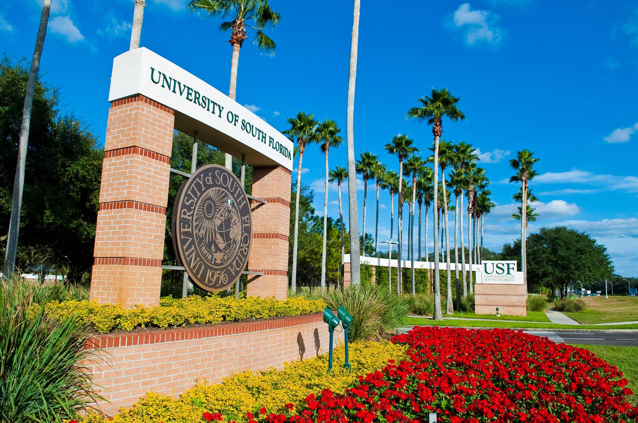 University Of South Florida, main entrance, palm trees, Full HD Desktop Wallpaper
