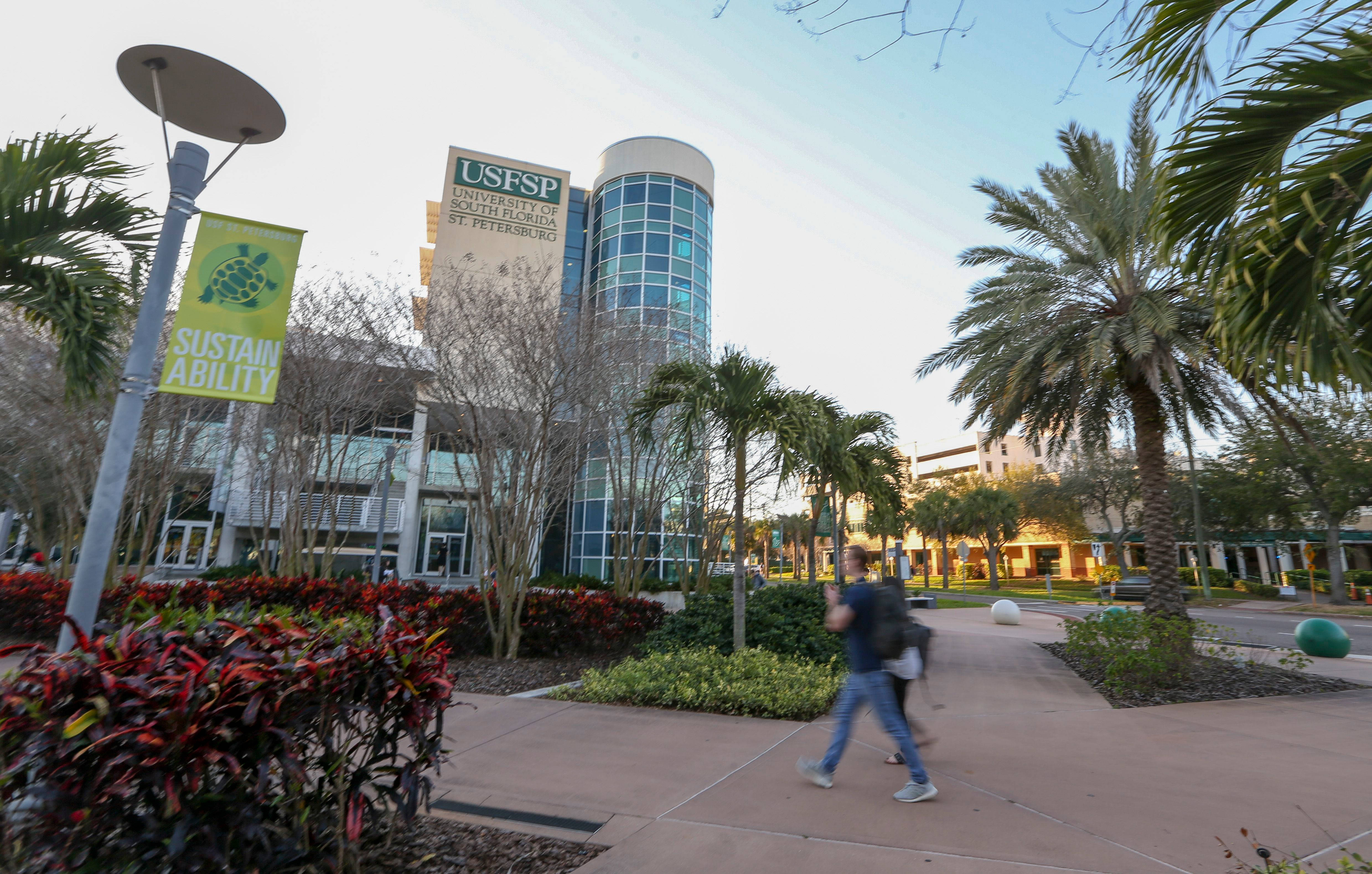 University Of South Florida, palm trees, vibrant red bushes, 4K Desktop Wallpaper