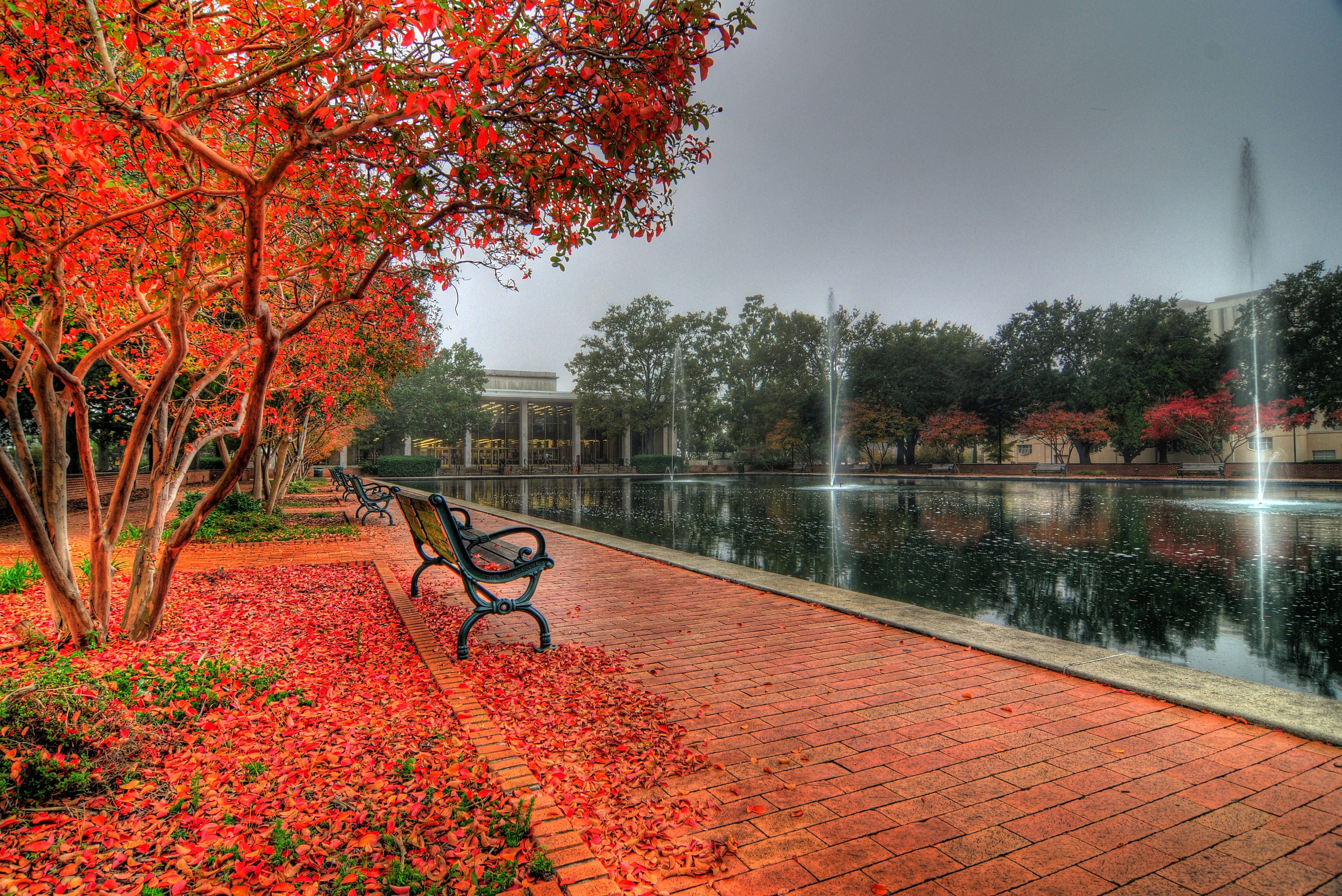 University Of Southern California, autumn, vibrant red leaves, 4K Desktop Wallpaper