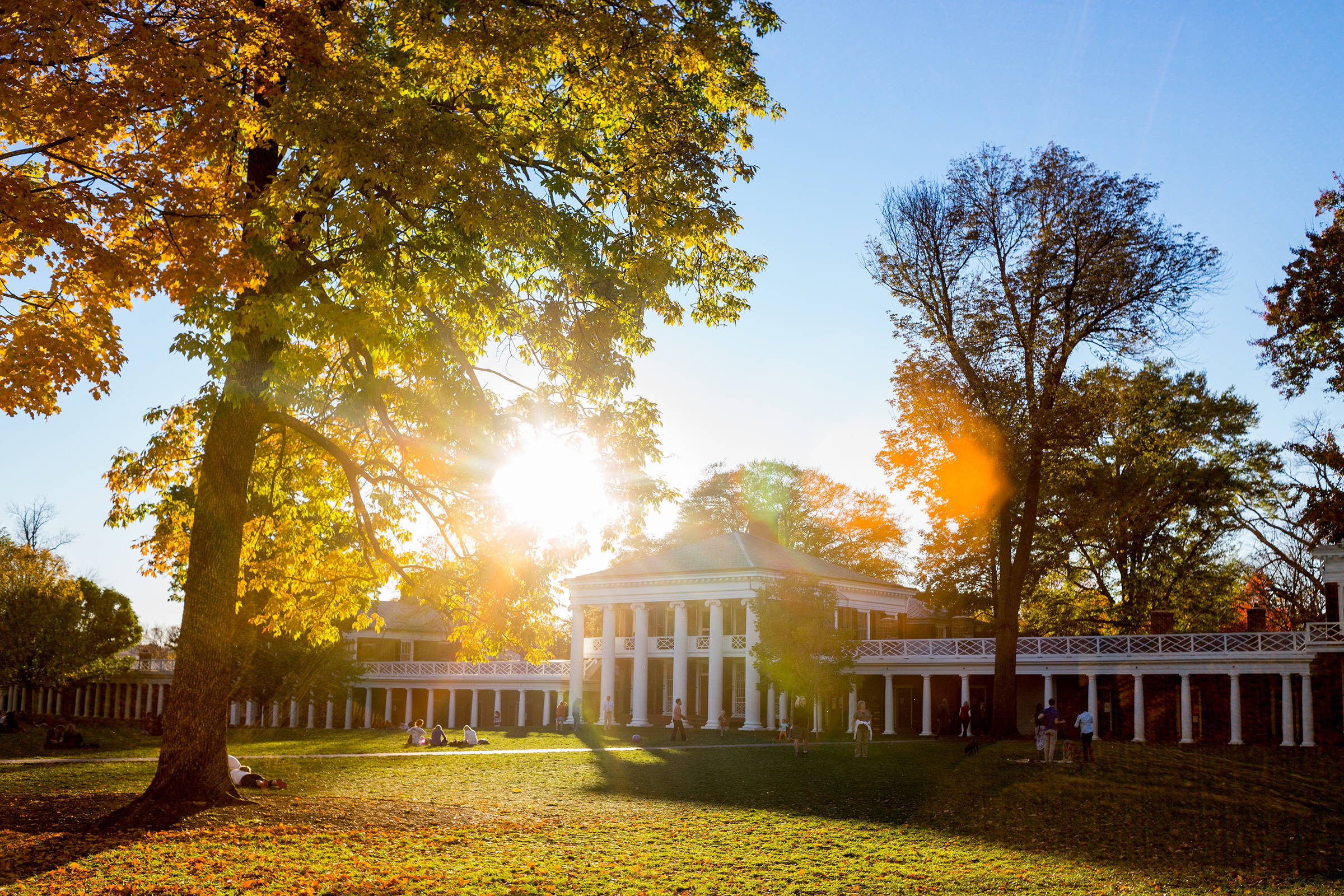 University Of Virginia, golden autumn leaves, sunlight, Full HD Desktop Wallpaper