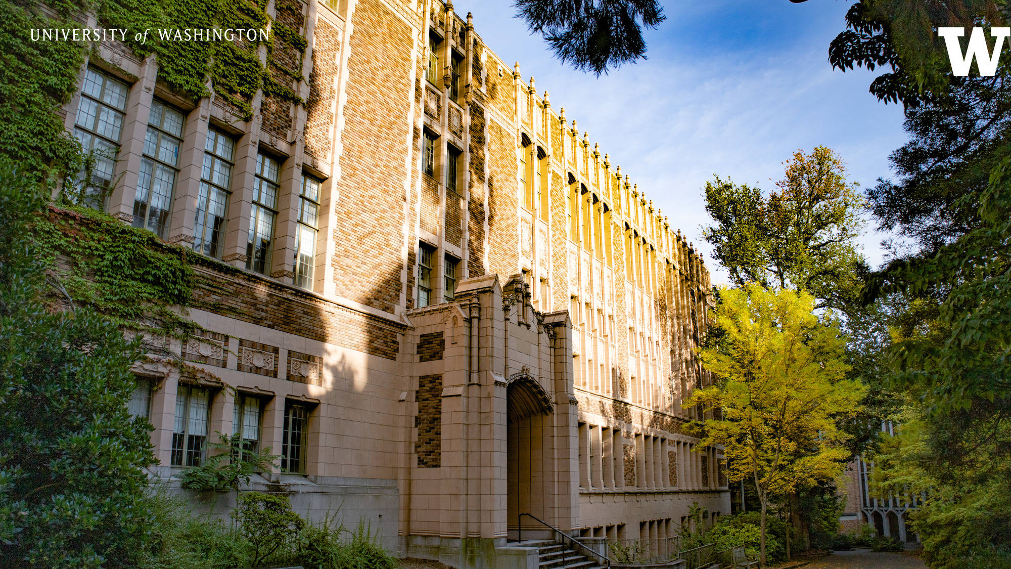 University Of Washington, ivy-covered walls, tall windows, Full HD Desktop Wallpaper