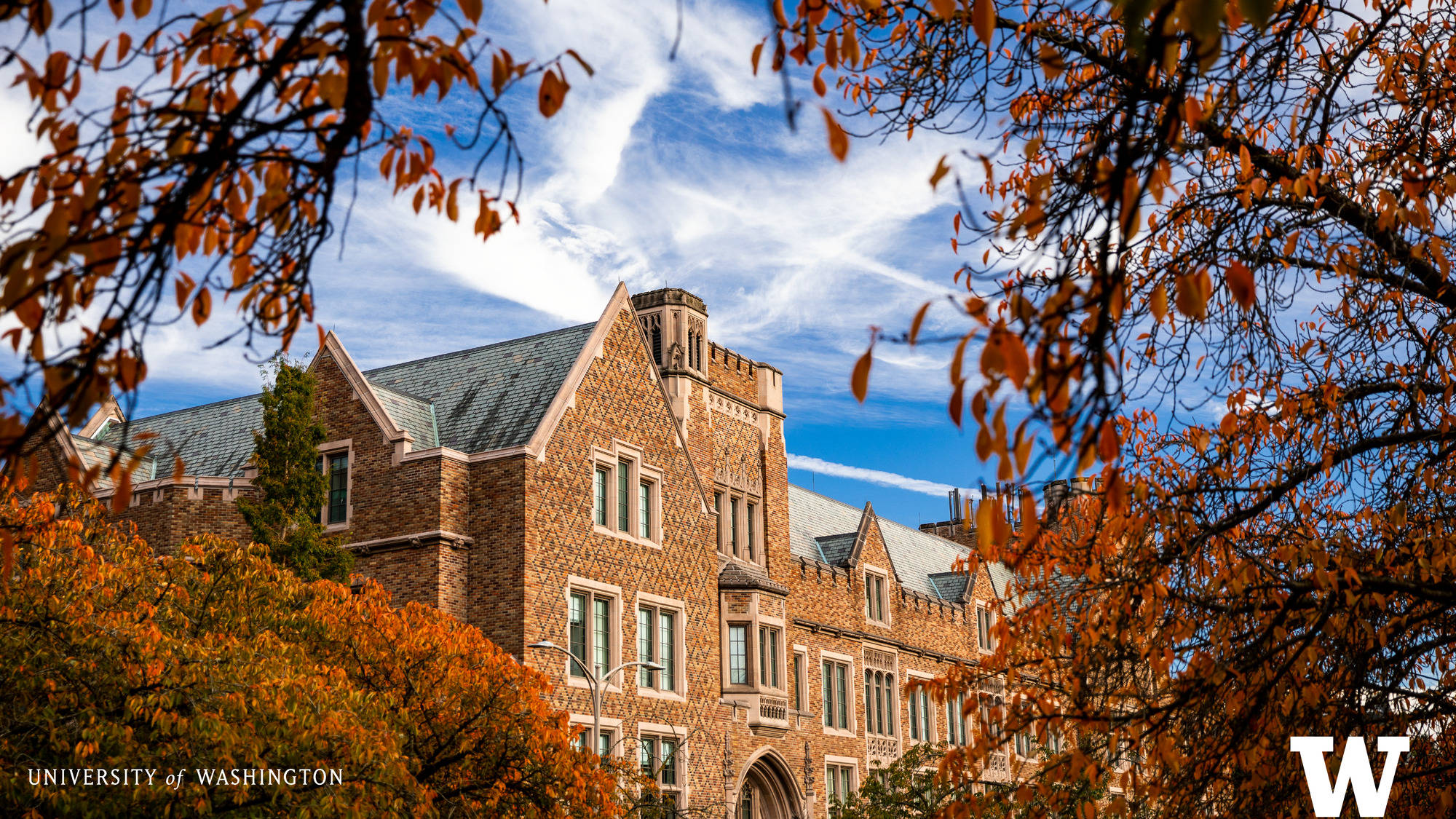 University Of Washington, brick university building, vibrant orange autumn leaves, Full HD Desktop Wallpaper