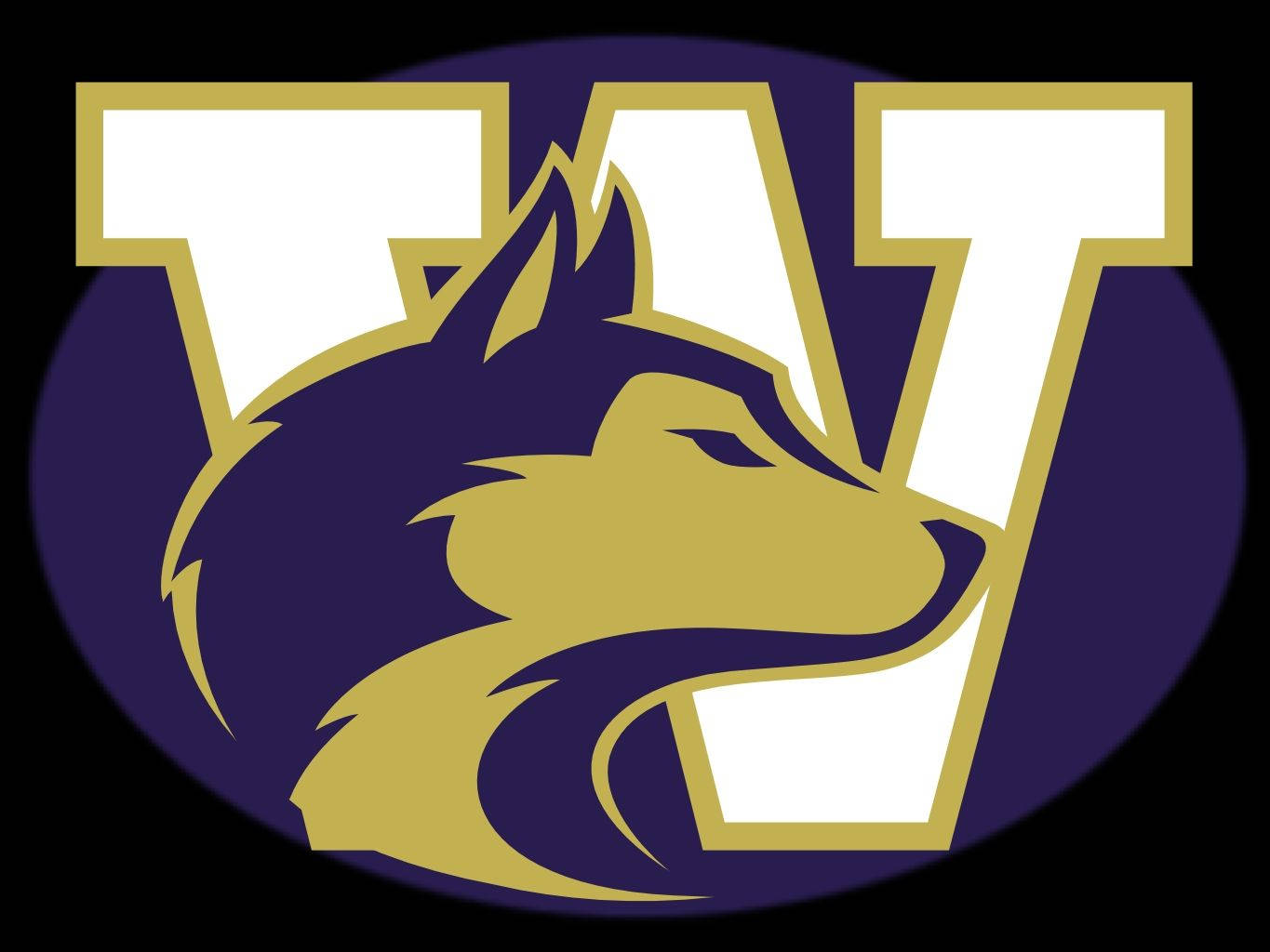 University Of Washington, purple, gold, HD Desktop Wallpaper