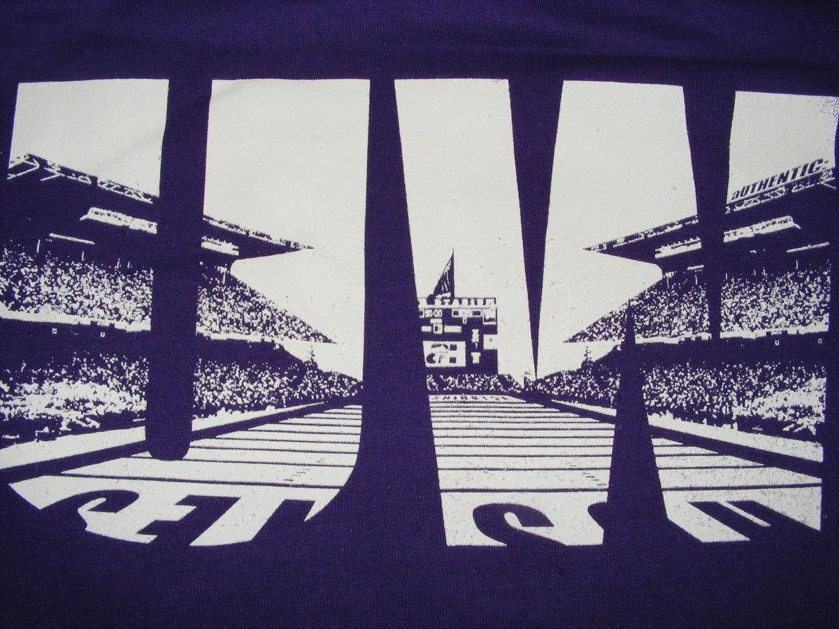 University Of Washington, stadium scene, crowds, SD Desktop Wallpaper
