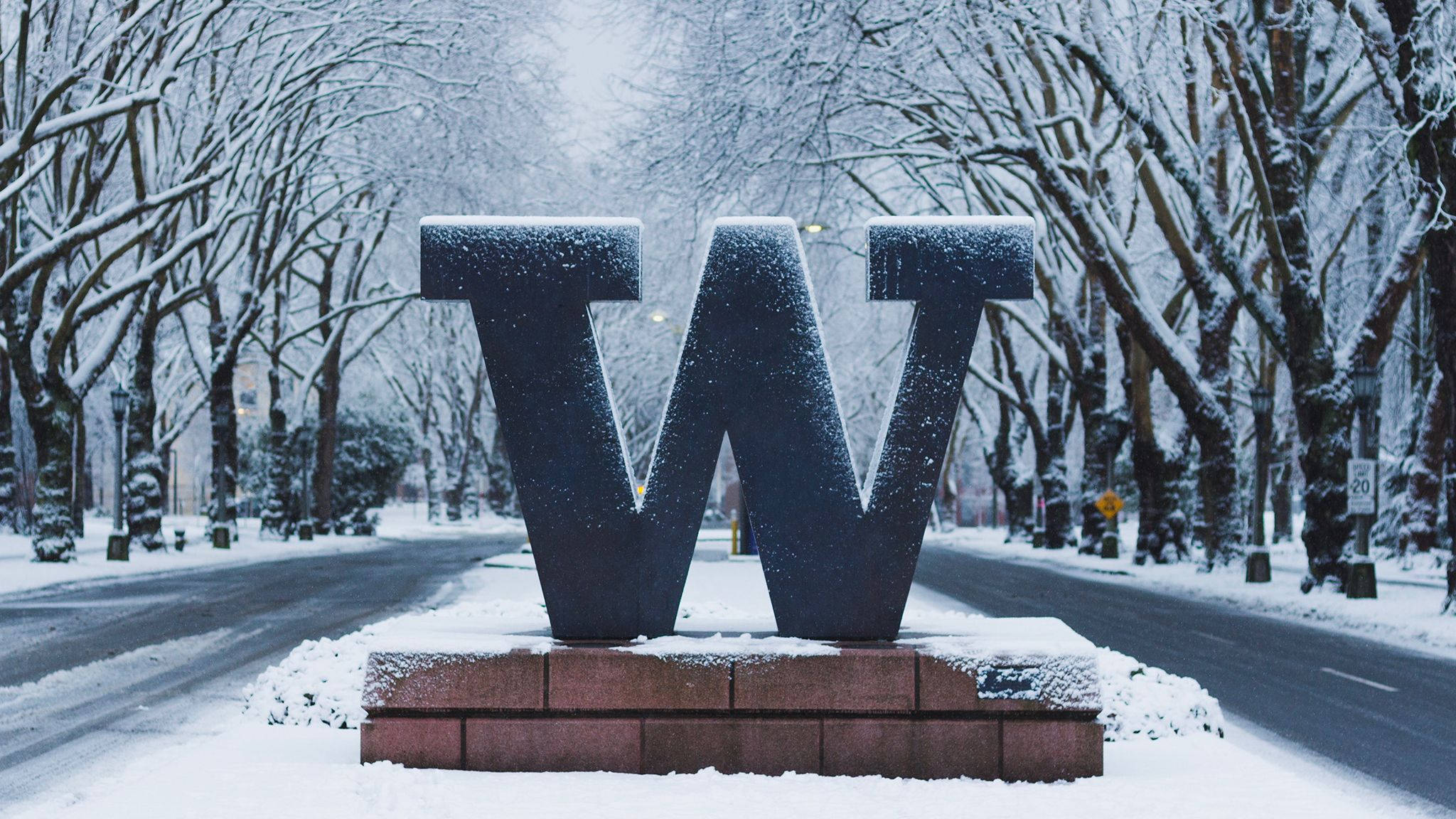 University Of Washington W Sign, snow-dusted, brick pedestal, Full HD Desktop Wallpaper