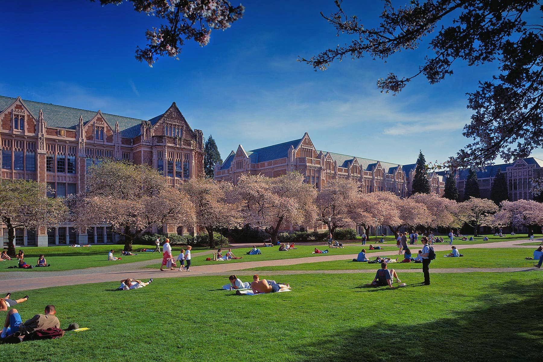 University Of Washington, quad, vibrant green grass, HD Desktop Wallpaper
