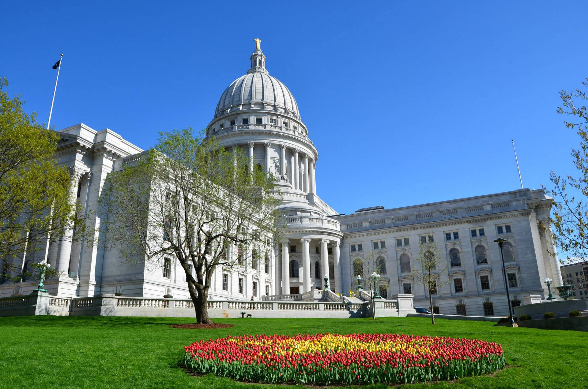 University Of Wisconsin-madison, floral park, white neoclassical capitol building, Full HD Desktop Wallpaper