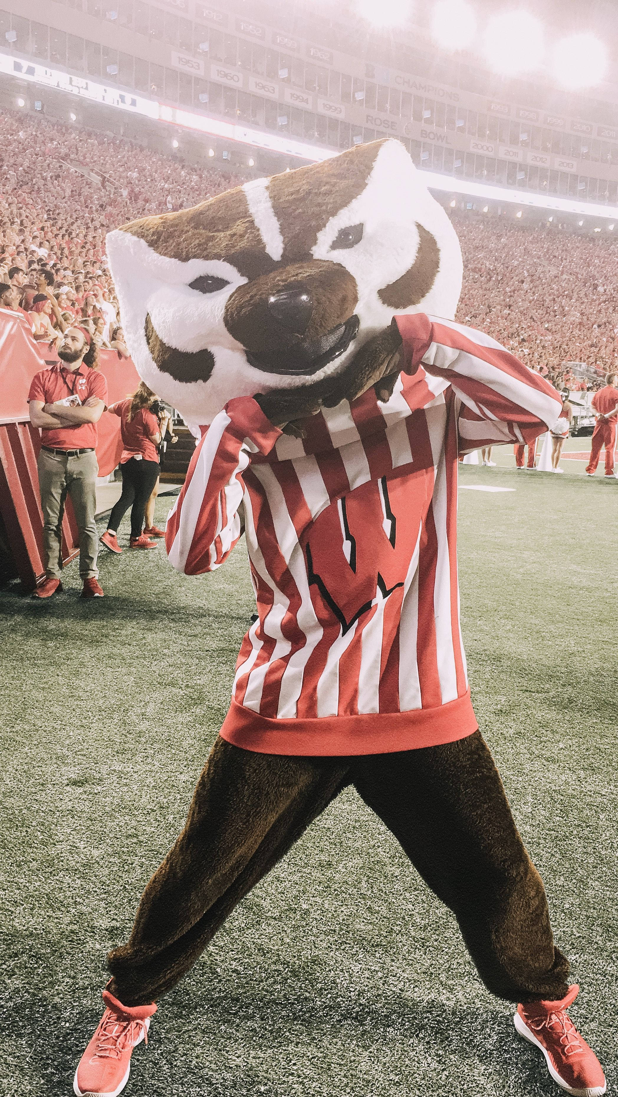 University Of Wisconsin-madison, badger mascot, red and white stripes, 2K Phone Wallpaper