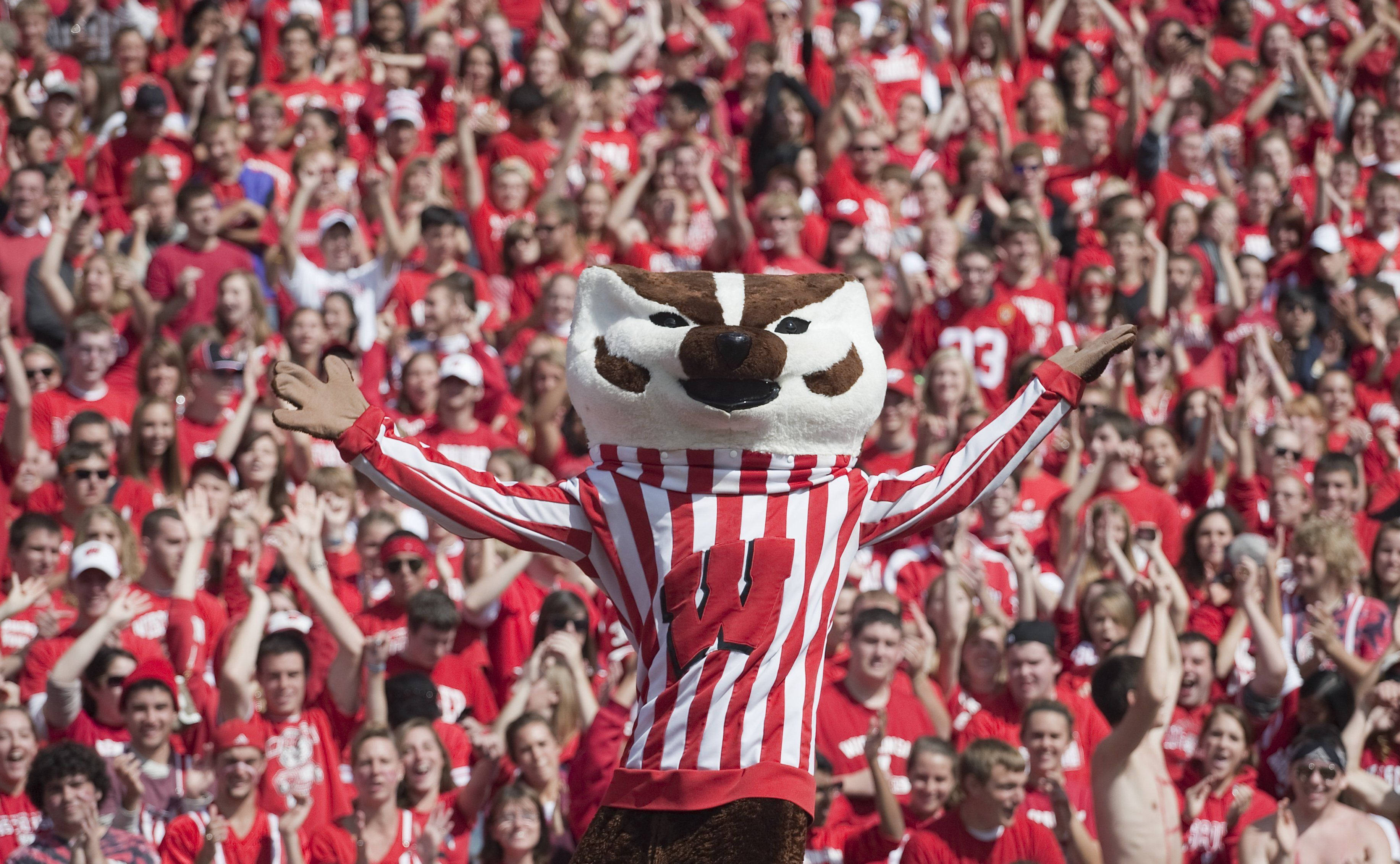 University Of Wisconsin-madison, badger mascot, red and white stripes, 2K Desktop Wallpaper