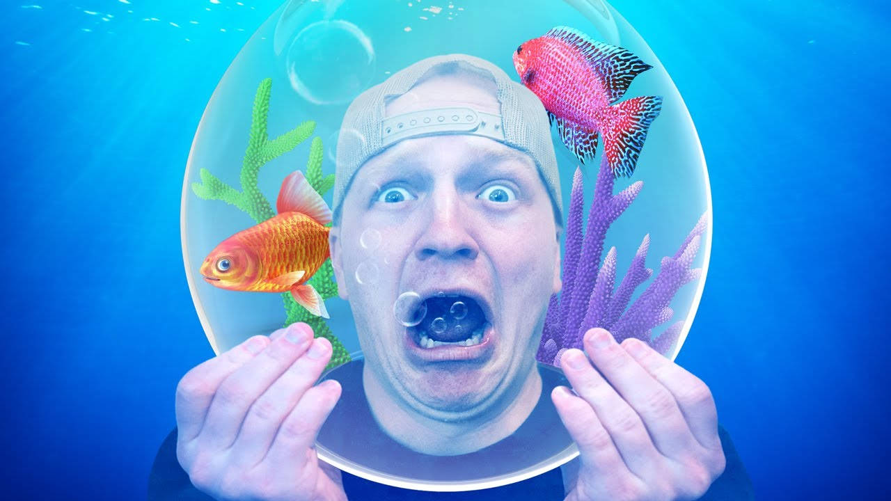 Unspeakable, fish bowl, underwater, HD Desktop Wallpaper