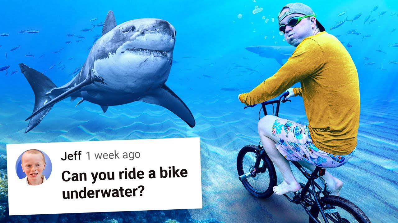Unspeakable, bicycle, shark, HD Desktop Wallpaper