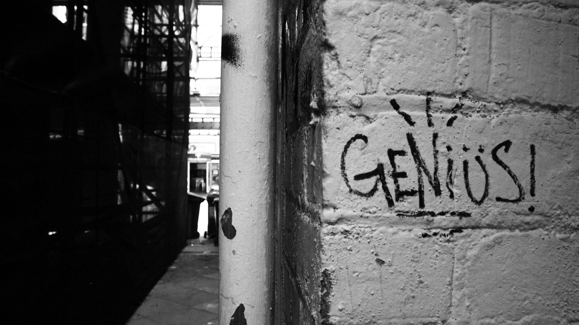 genius, graffiti, brick wall, Full HD Desktop Wallpaper