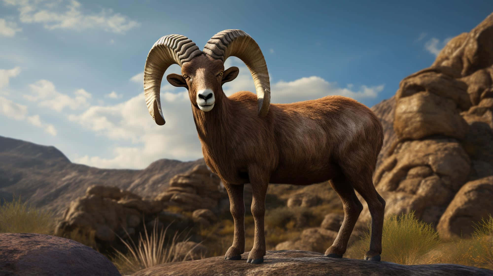 Urial, rocky outcrop, mountainous backdrop, Full HD Desktop Wallpaper