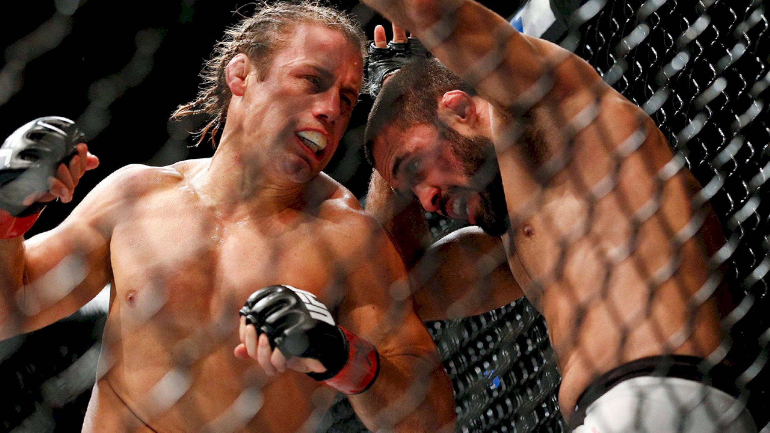 Urijah Faber, octagon cage, sweat, Full HD Desktop Wallpaper