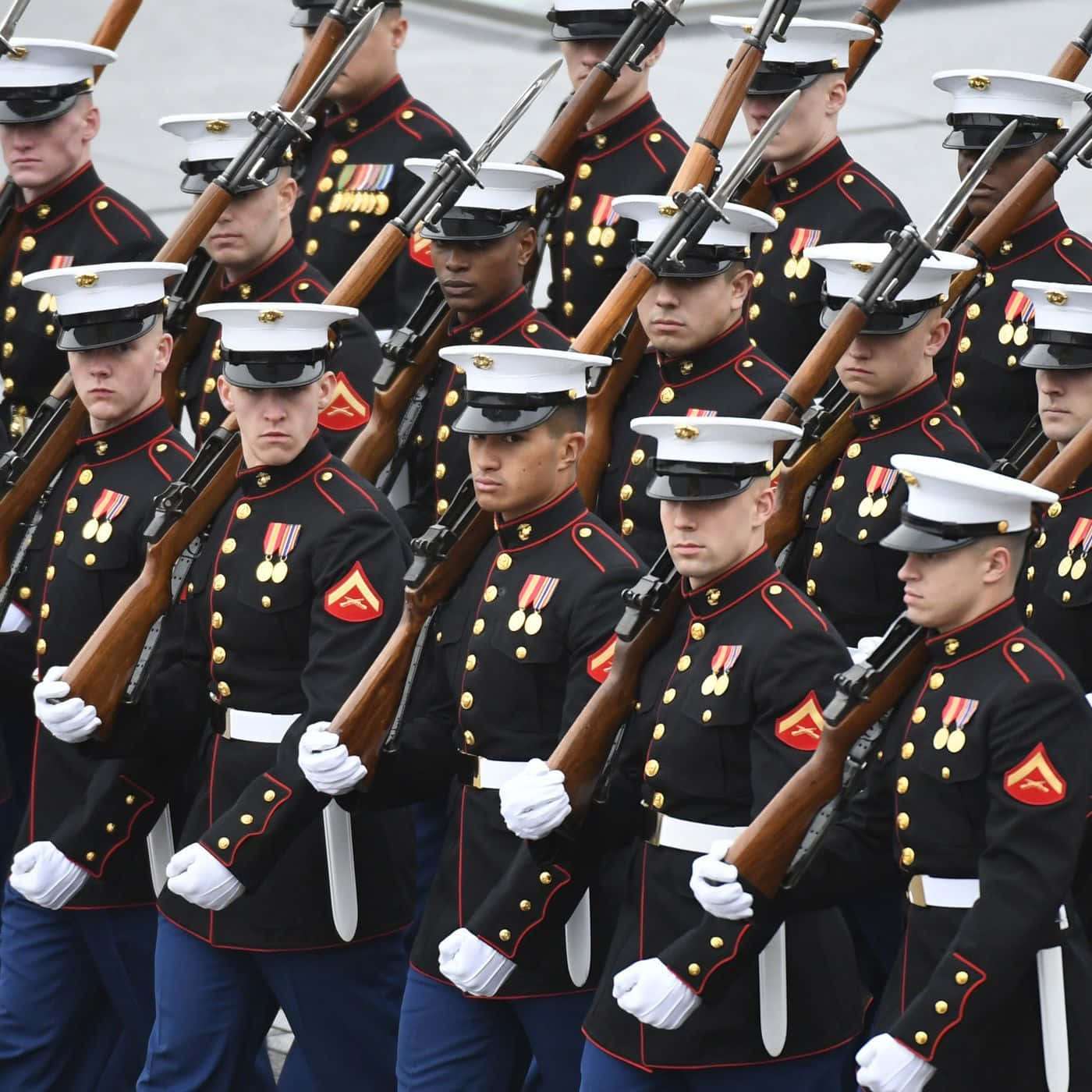 US Marines, dress uniforms, rifle, HD Desktop Wallpaper