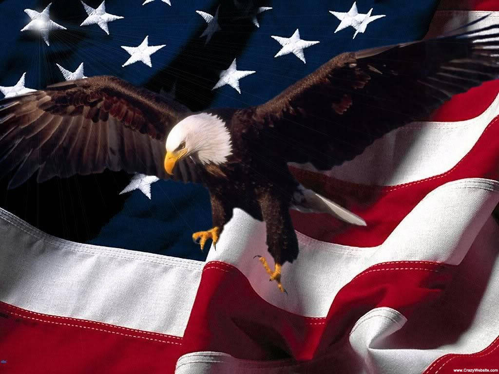 USA Flag, bald eagle, stars and stripes, SD Desktop Wallpaper