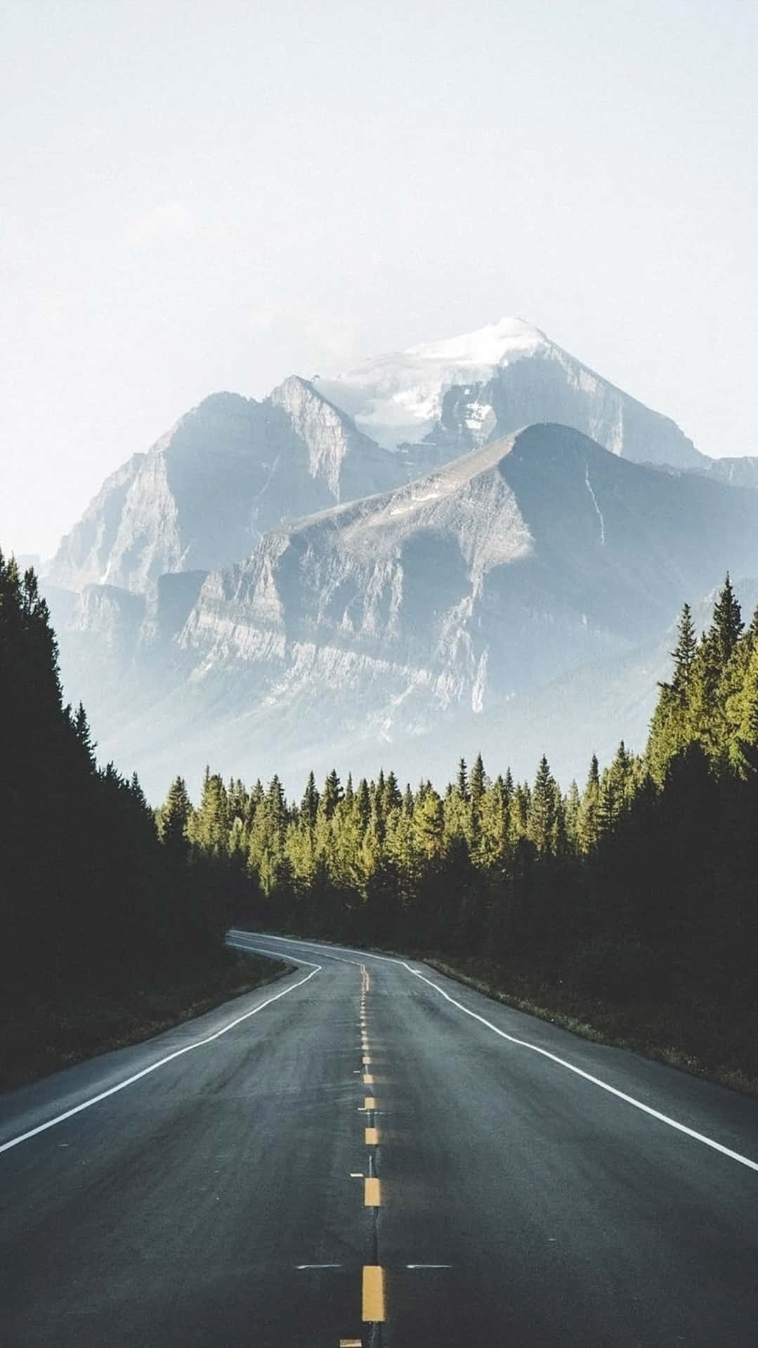 USA iPhone, asphalt road, pine forest, HD Phone Wallpaper