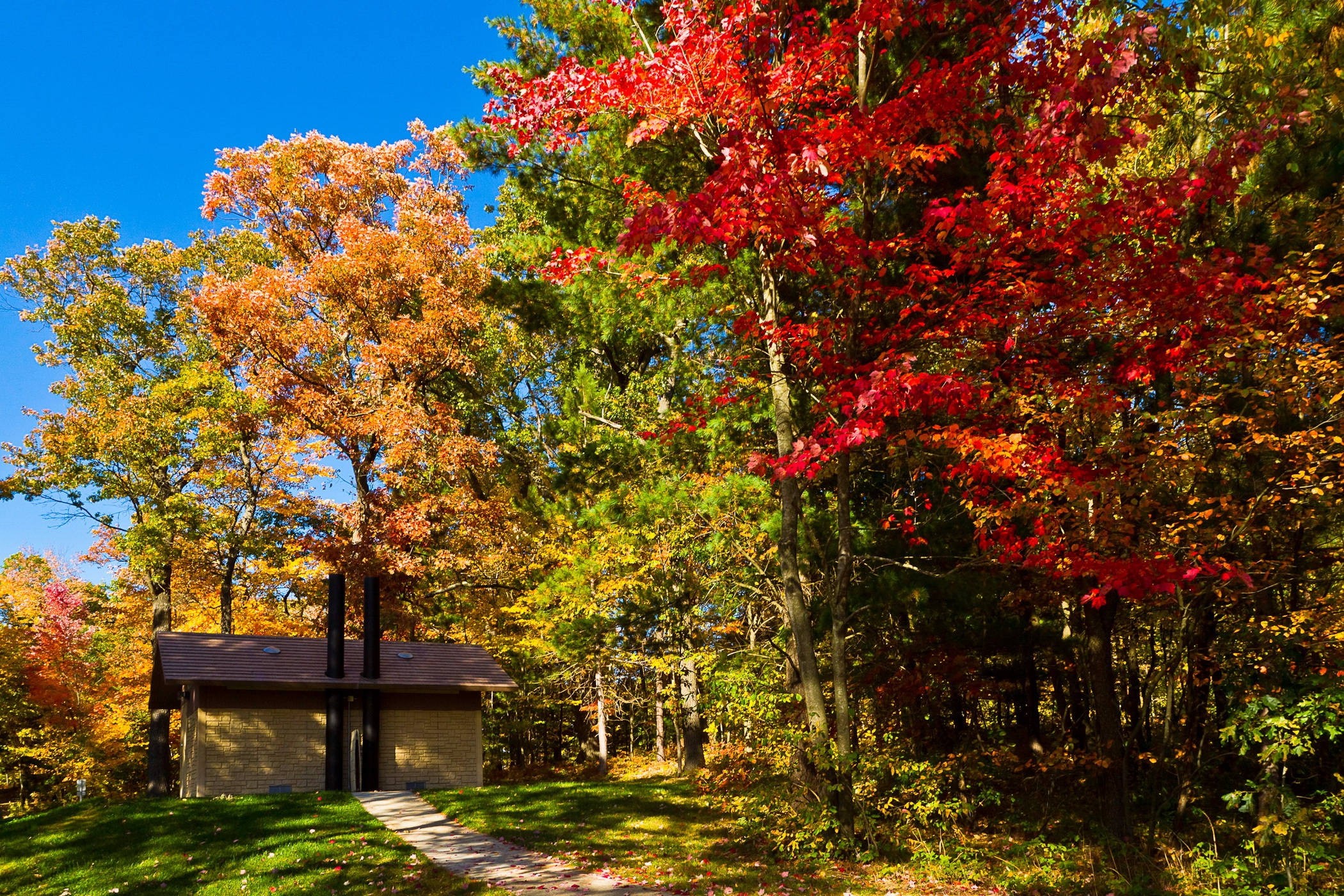 USA, autumn forest, fiery red orange and gold leaves, Full HD Desktop Wallpaper