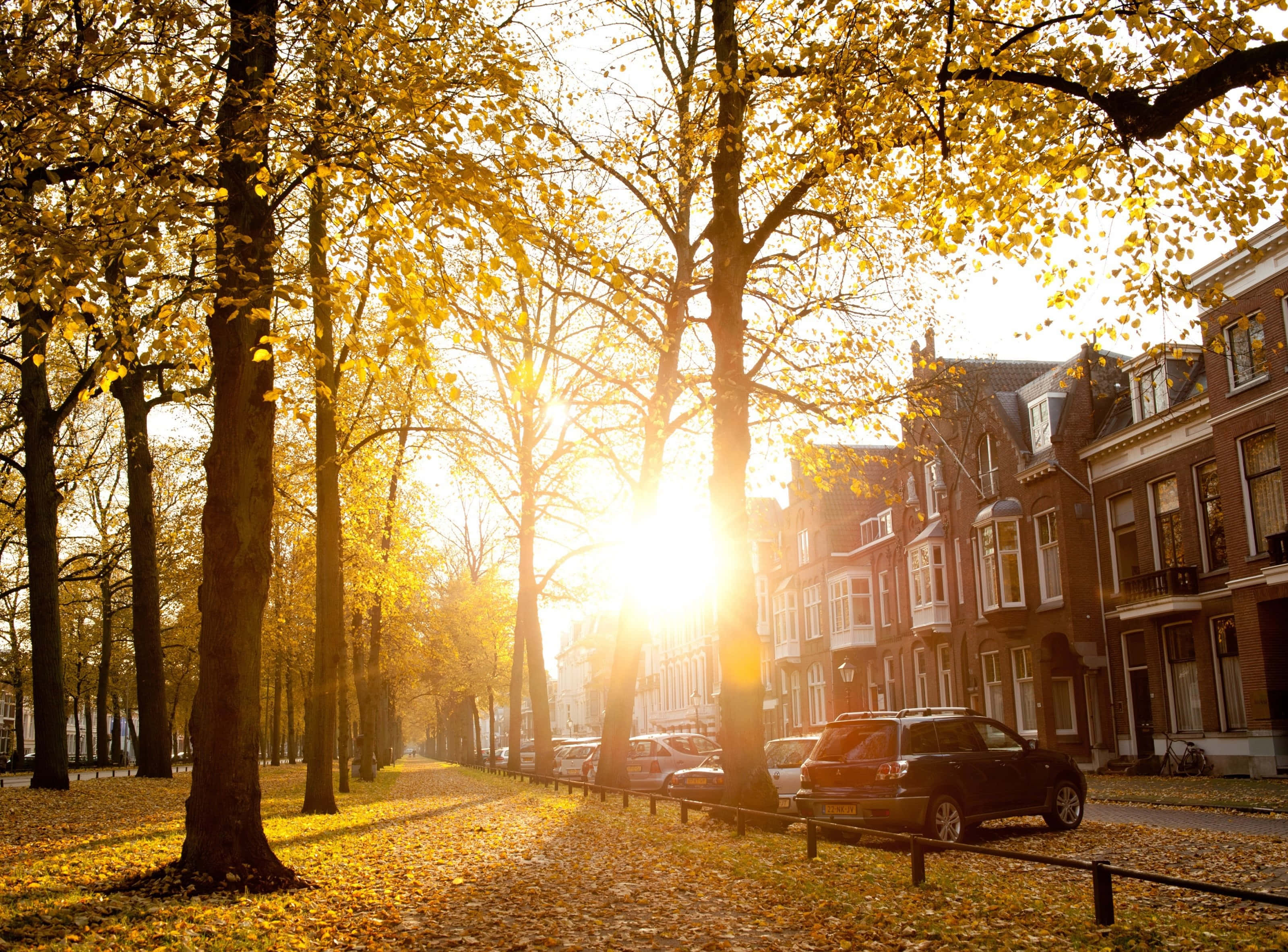 autumn sunrise, Utrecht, street, 2K Desktop Wallpaper