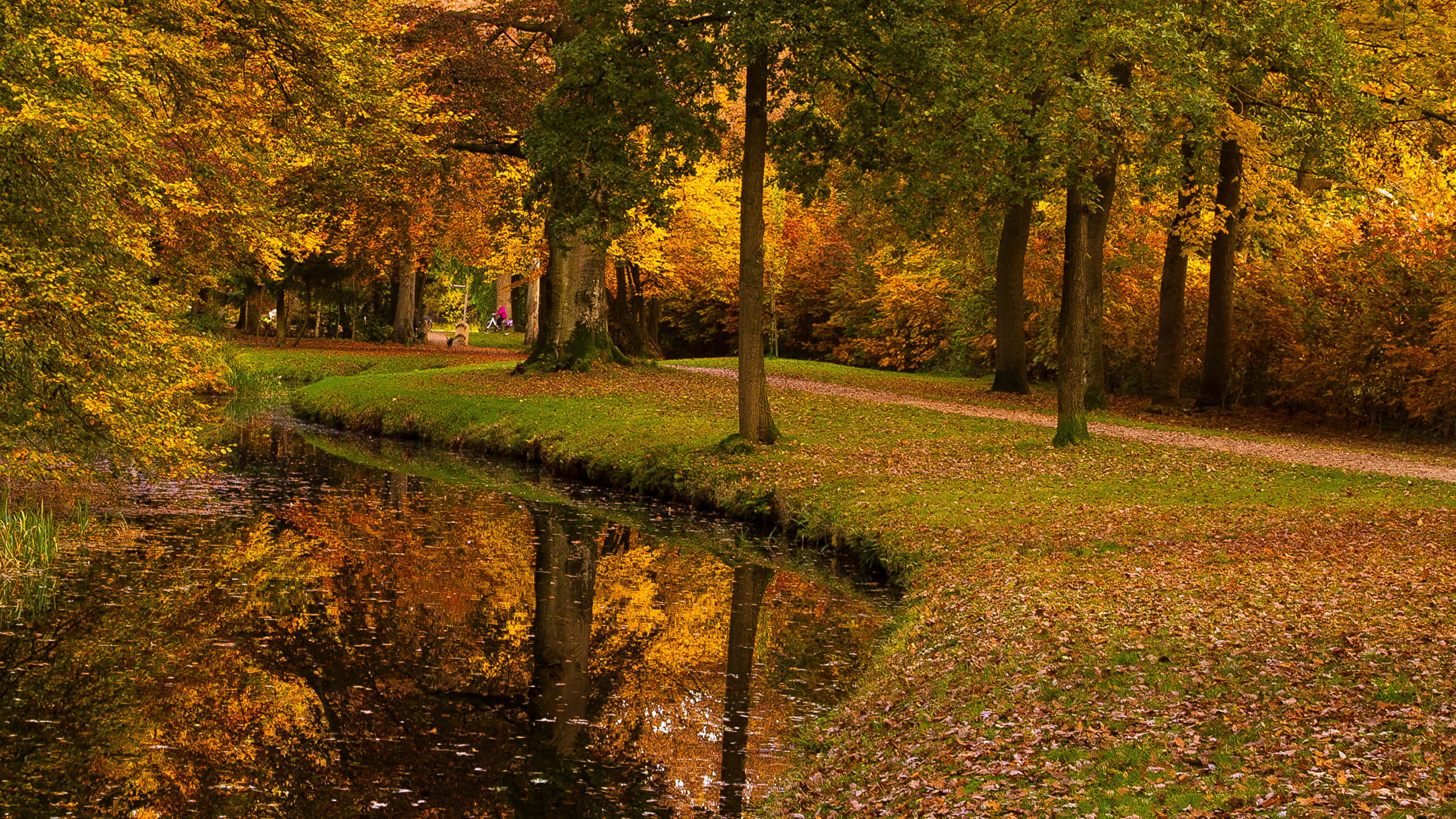 autumn park scene, Utrecht, canal, 2K Desktop Wallpaper