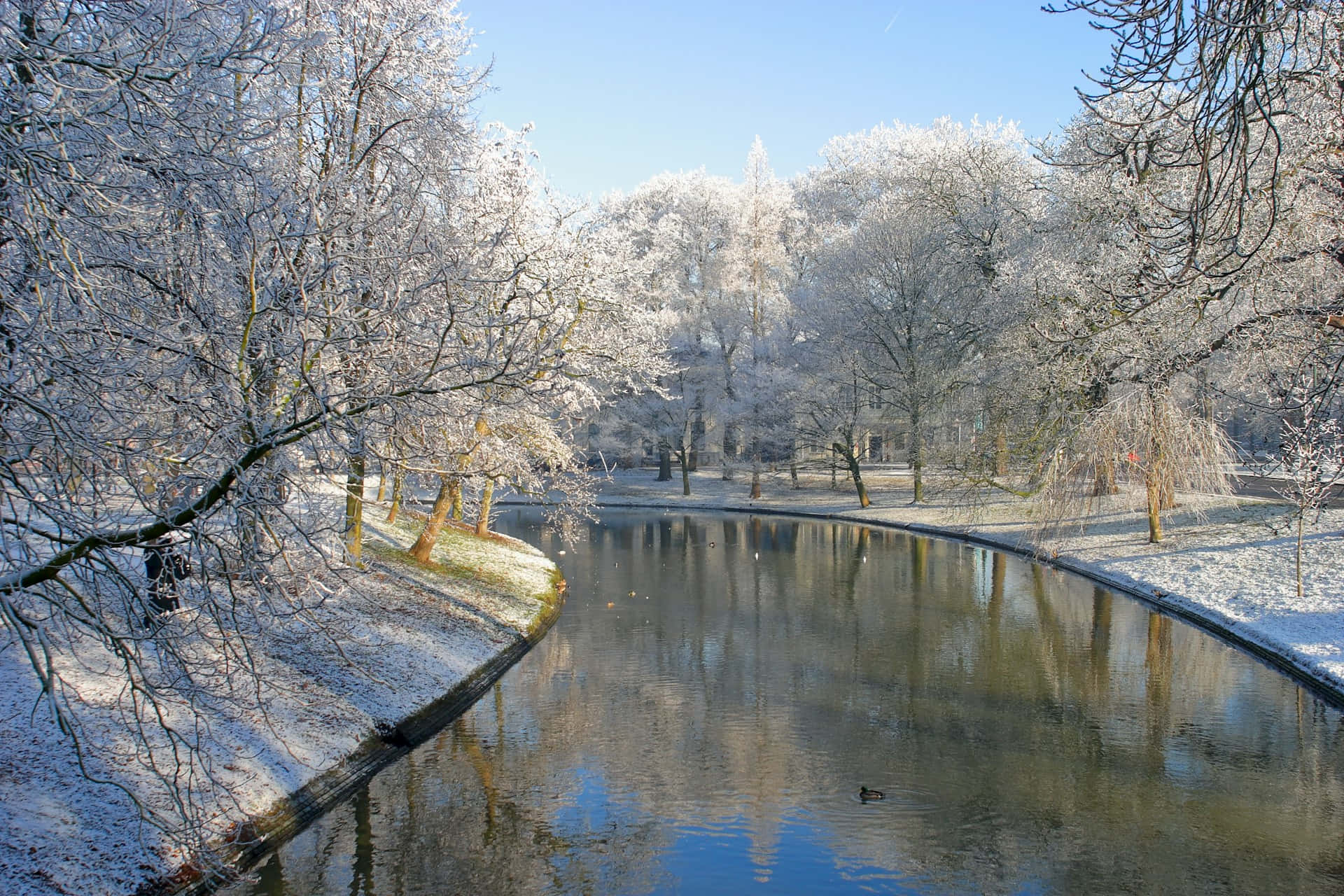 Utrecht, winter canal scene, frost-covered trees, Full HD Desktop Wallpaper