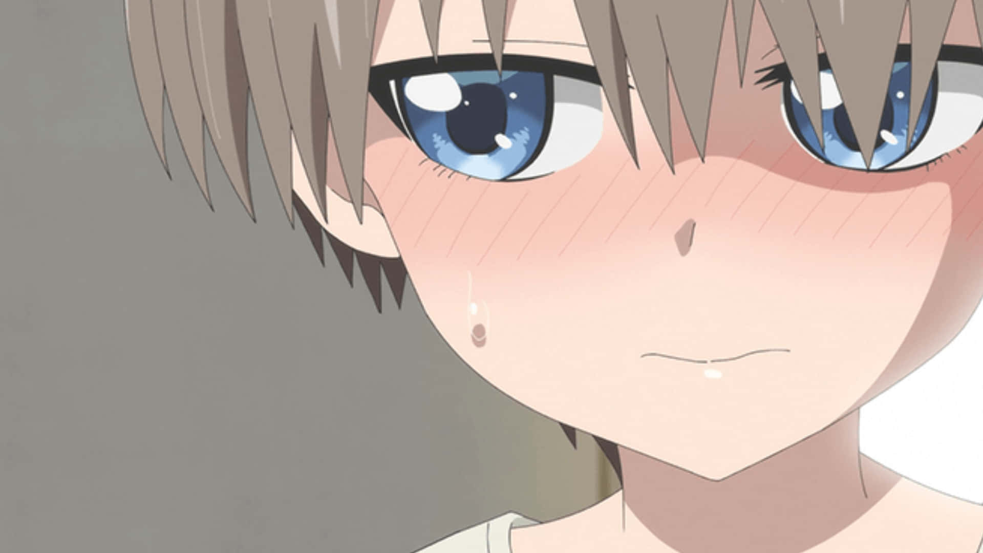 Uzaki-chan, blue eyes, blush cheeks, Full HD Desktop Wallpaper