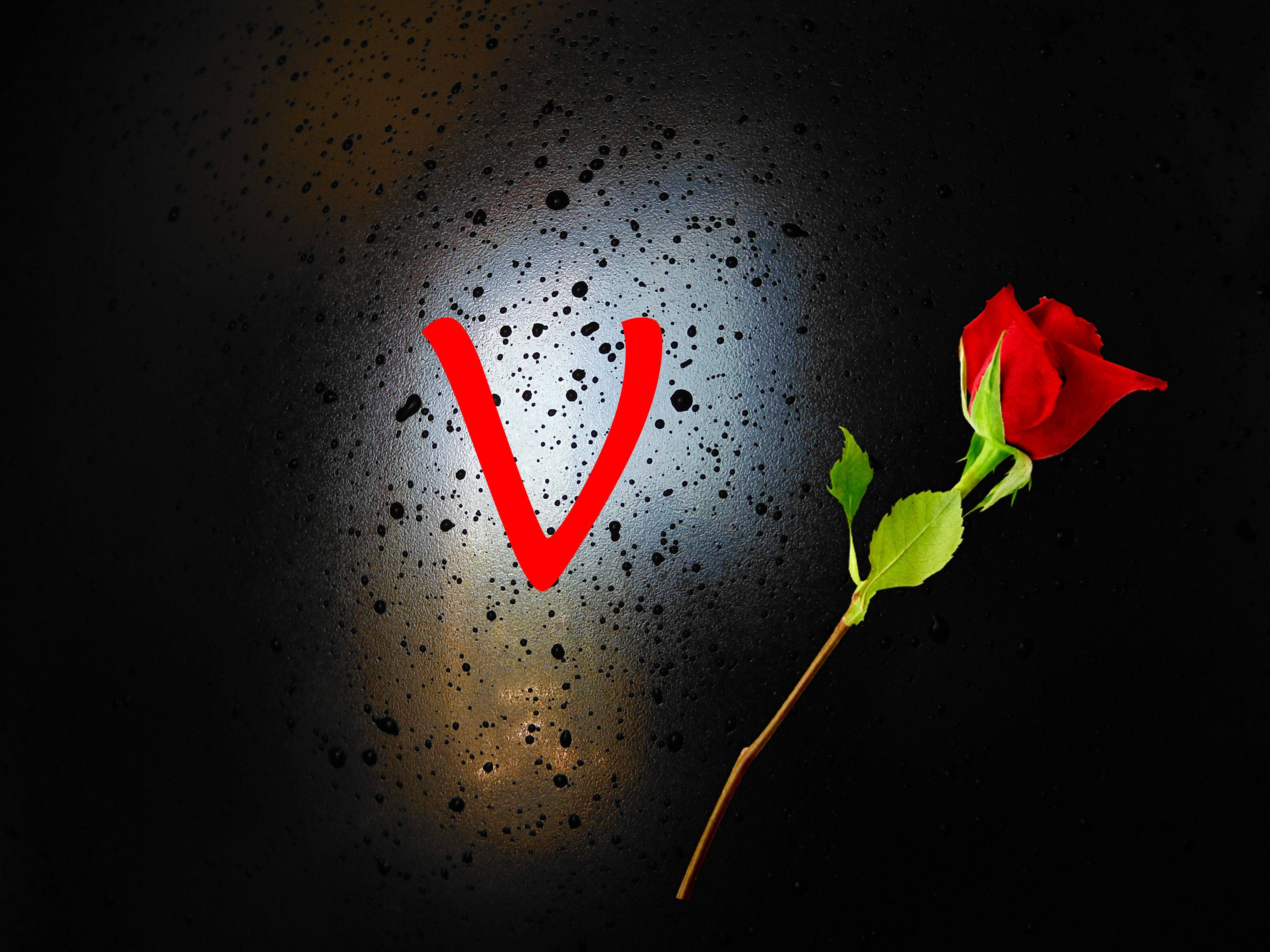 red rose, green stem, bold red letter V, 4K Desktop Wallpaper