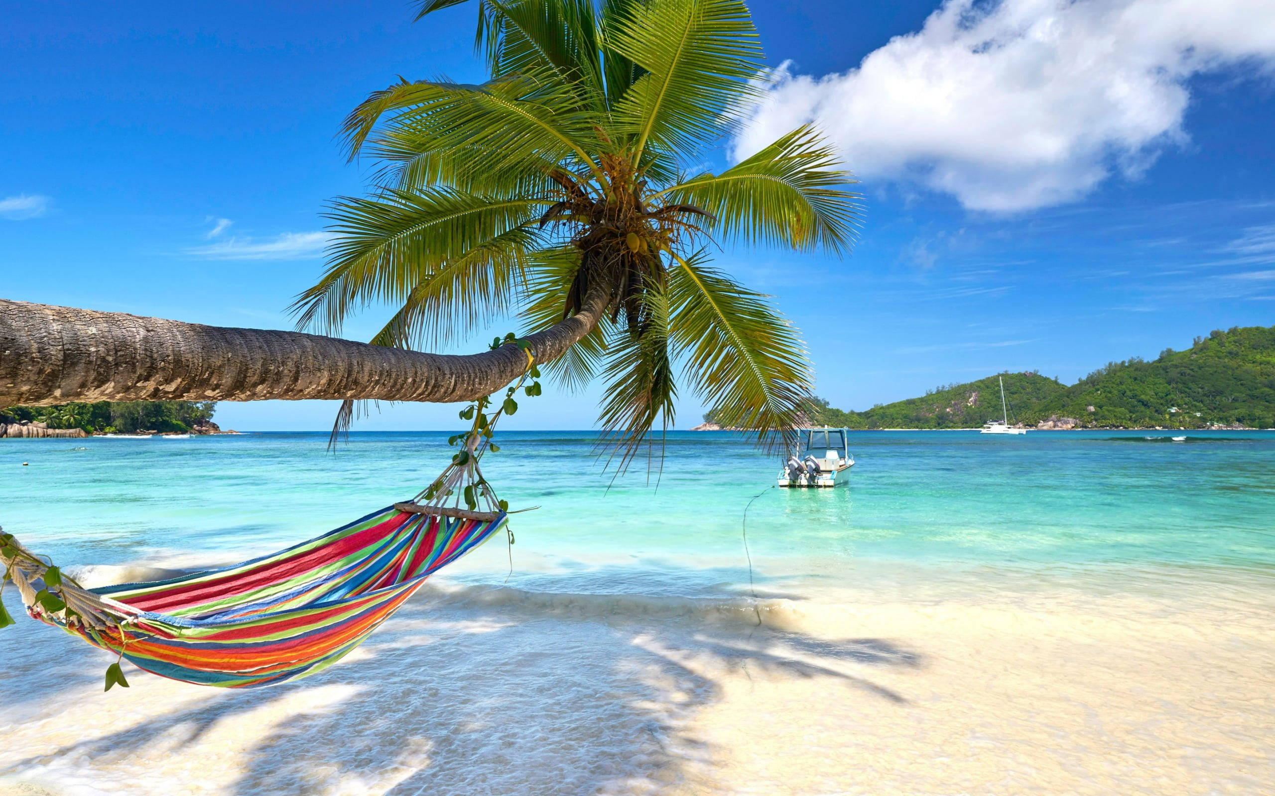 striped hammock, palm tree, white sand beach, 2K Desktop Wallpaper