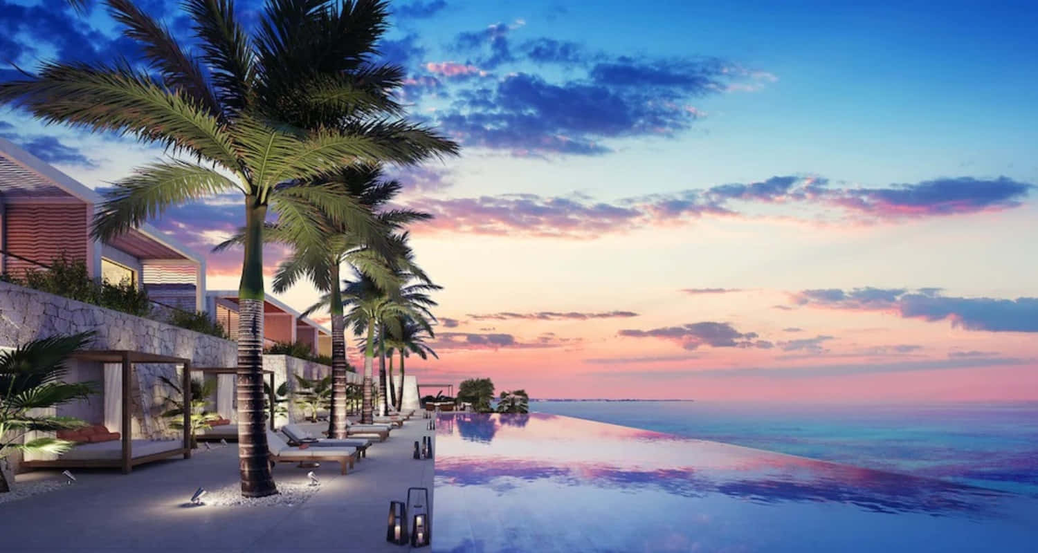 pool and beach resort, sunset, palm trees, HD Desktop Wallpaper