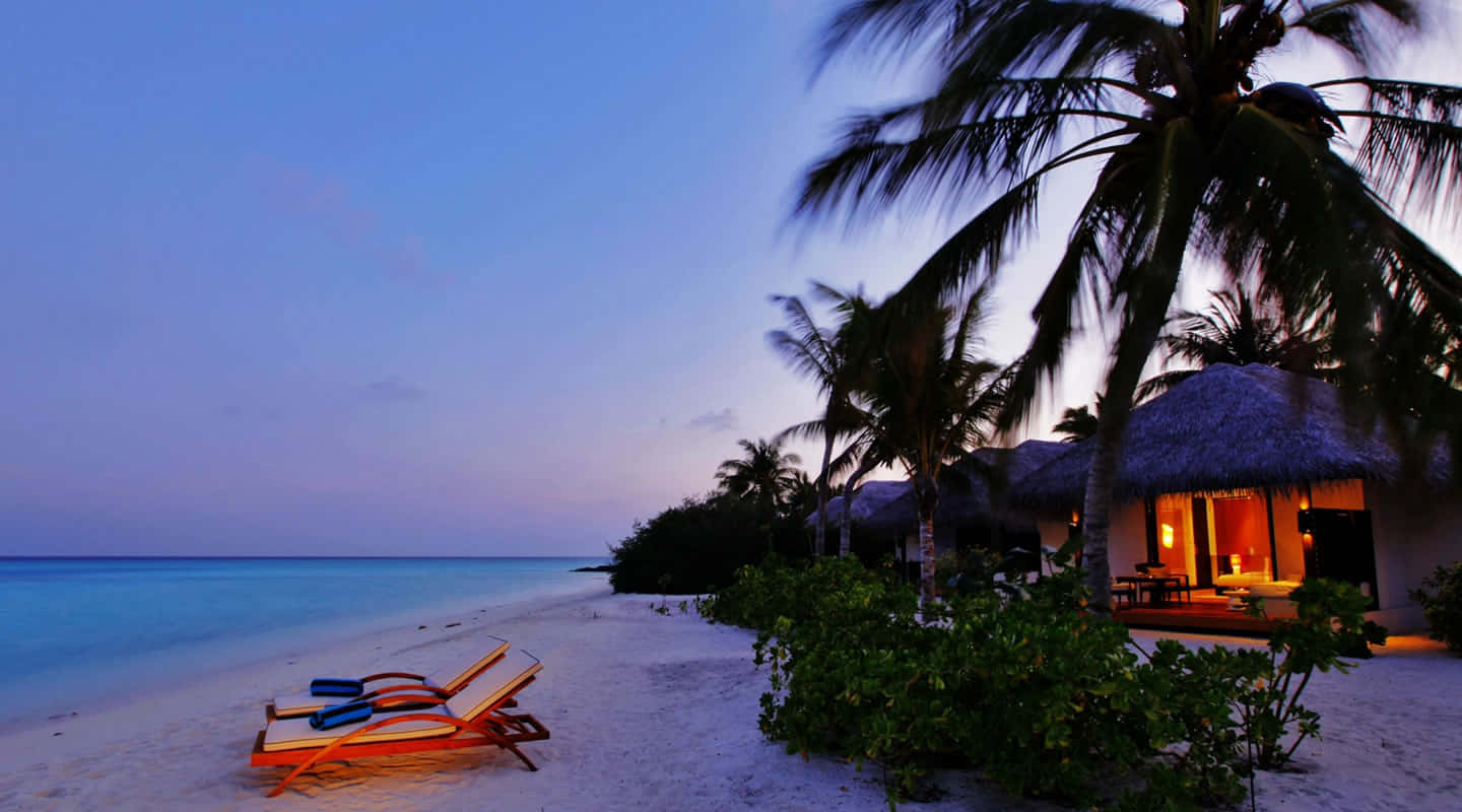 beach resort, overwater bungalows, palm trees, HD Desktop Wallpaper