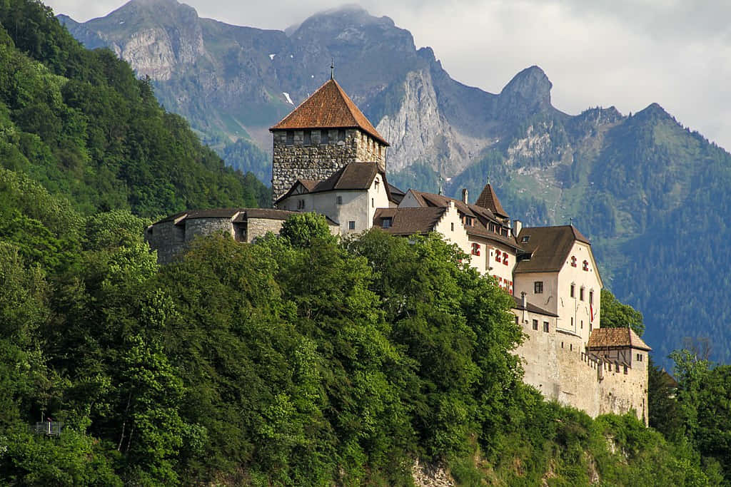 Vaduz Castle, red roofs, lush green hillside, SD Desktop Wallpaper