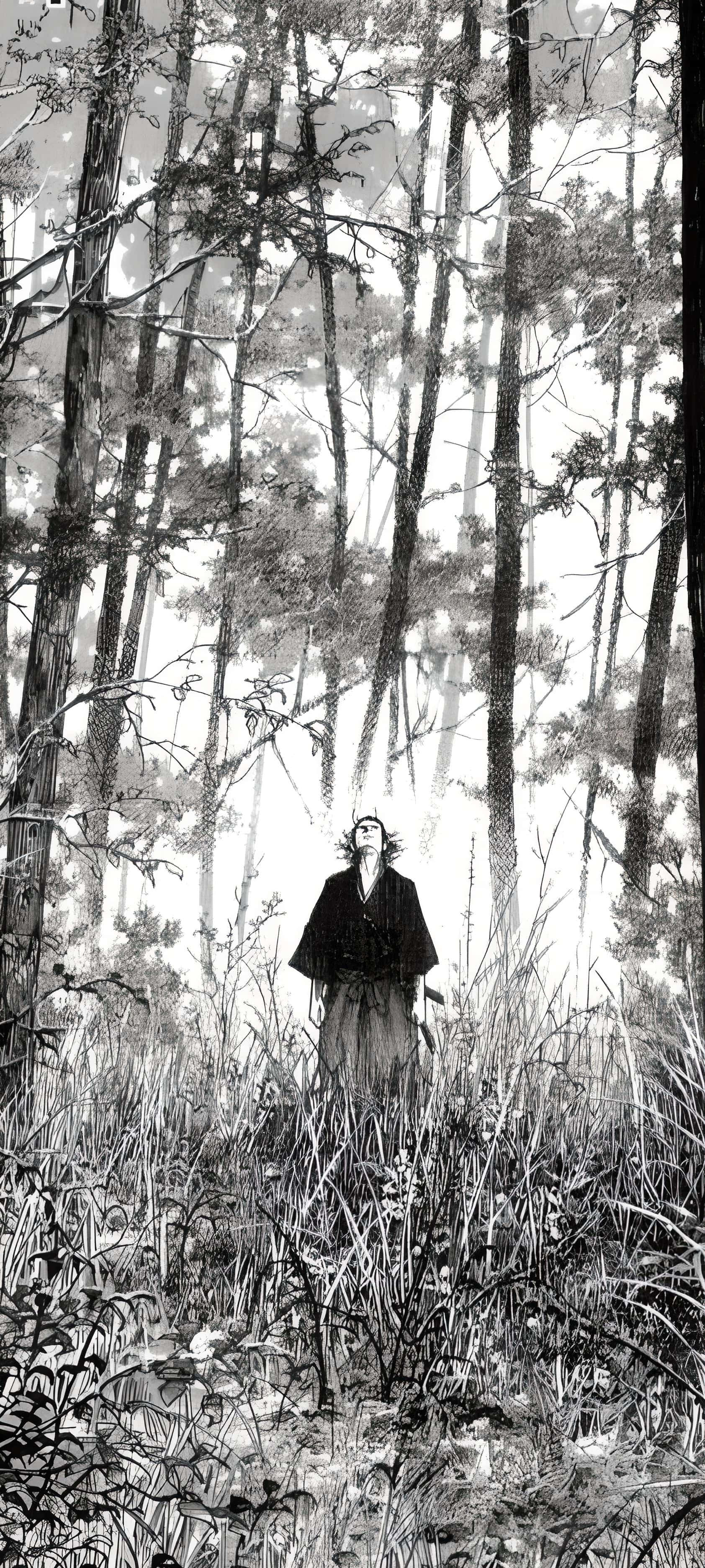 Vagabond Manga, forest, pine trees, 2K Phone Wallpaper
