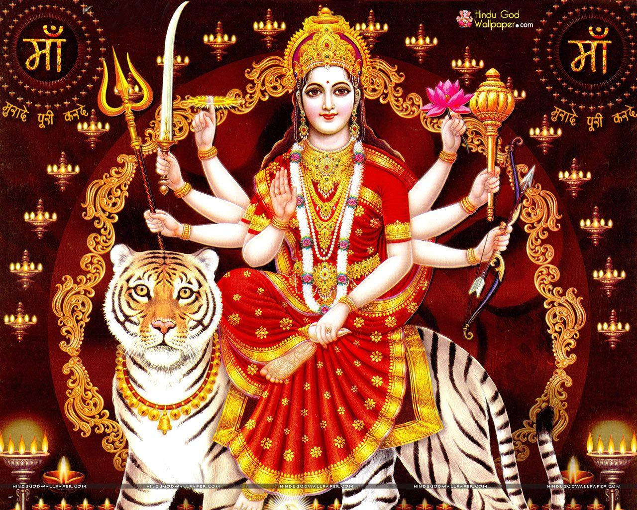 Vaishno Devi, tiger, red and gold, HD Desktop Wallpaper