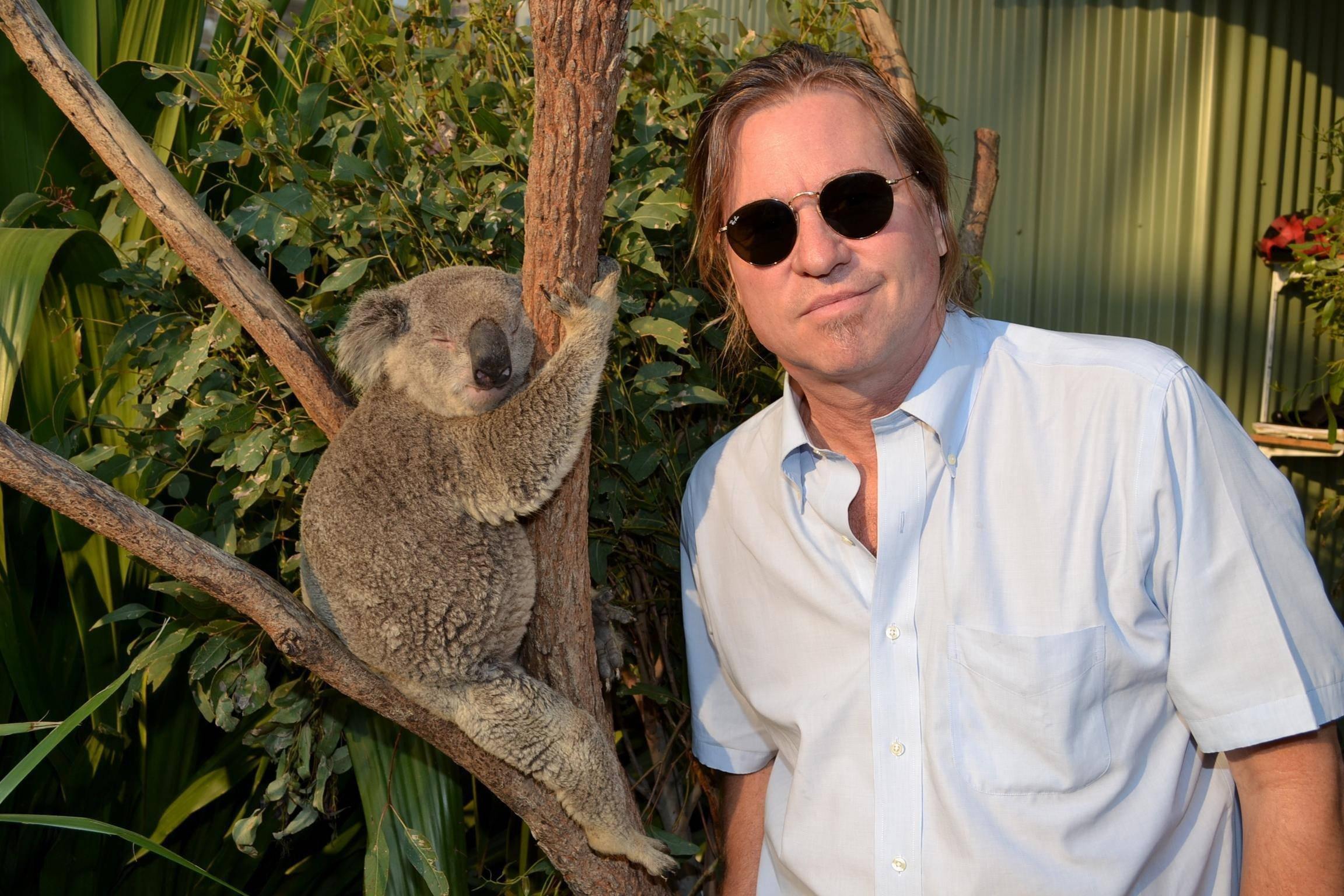 Val Kilmer, sunglasses, koala, Full HD Desktop Wallpaper