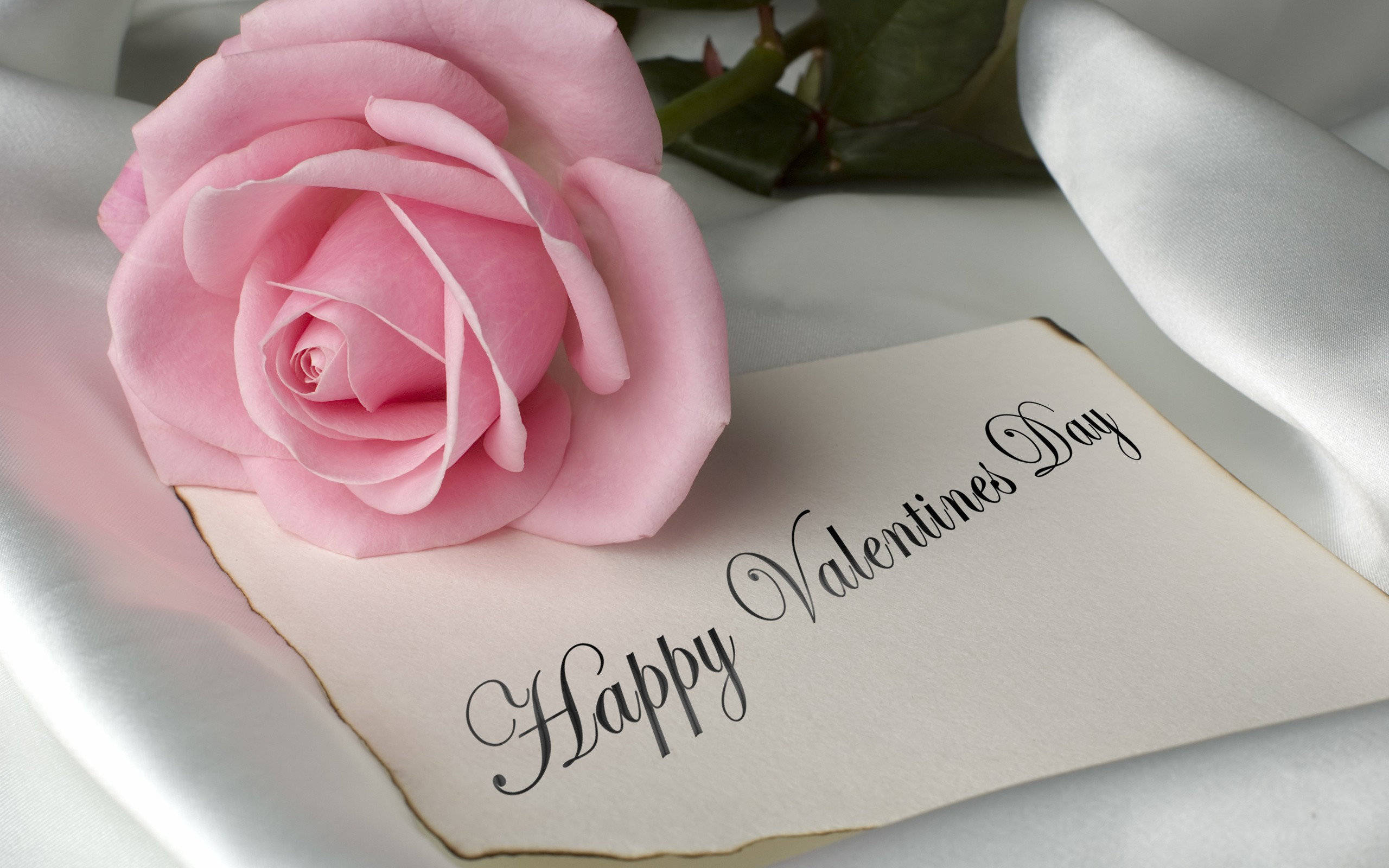 Valentines Day Desktop, pink rose, handwritten Valentine's Day note, 2K Desktop Wallpaper