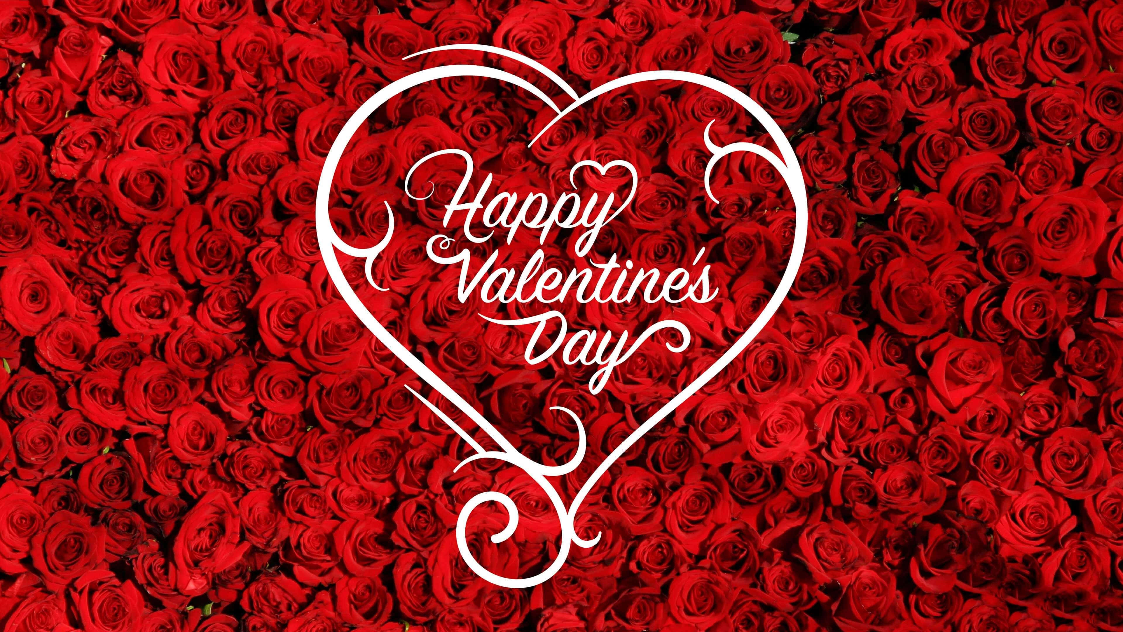 Happy Valentine's Day, white outline, vivid red roses, 4K Desktop Wallpaper