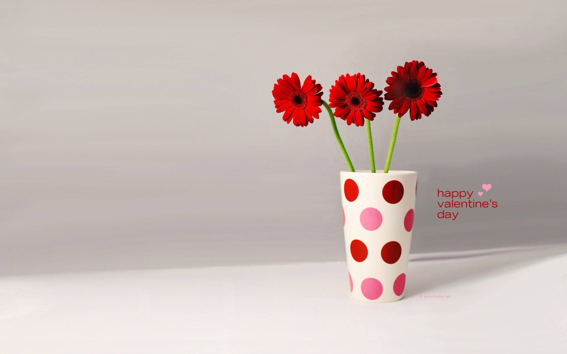 flowers on dotted vase, red gerbera daisies, white vase with pink and red polka dots, Full HD Desktop Wallpaper