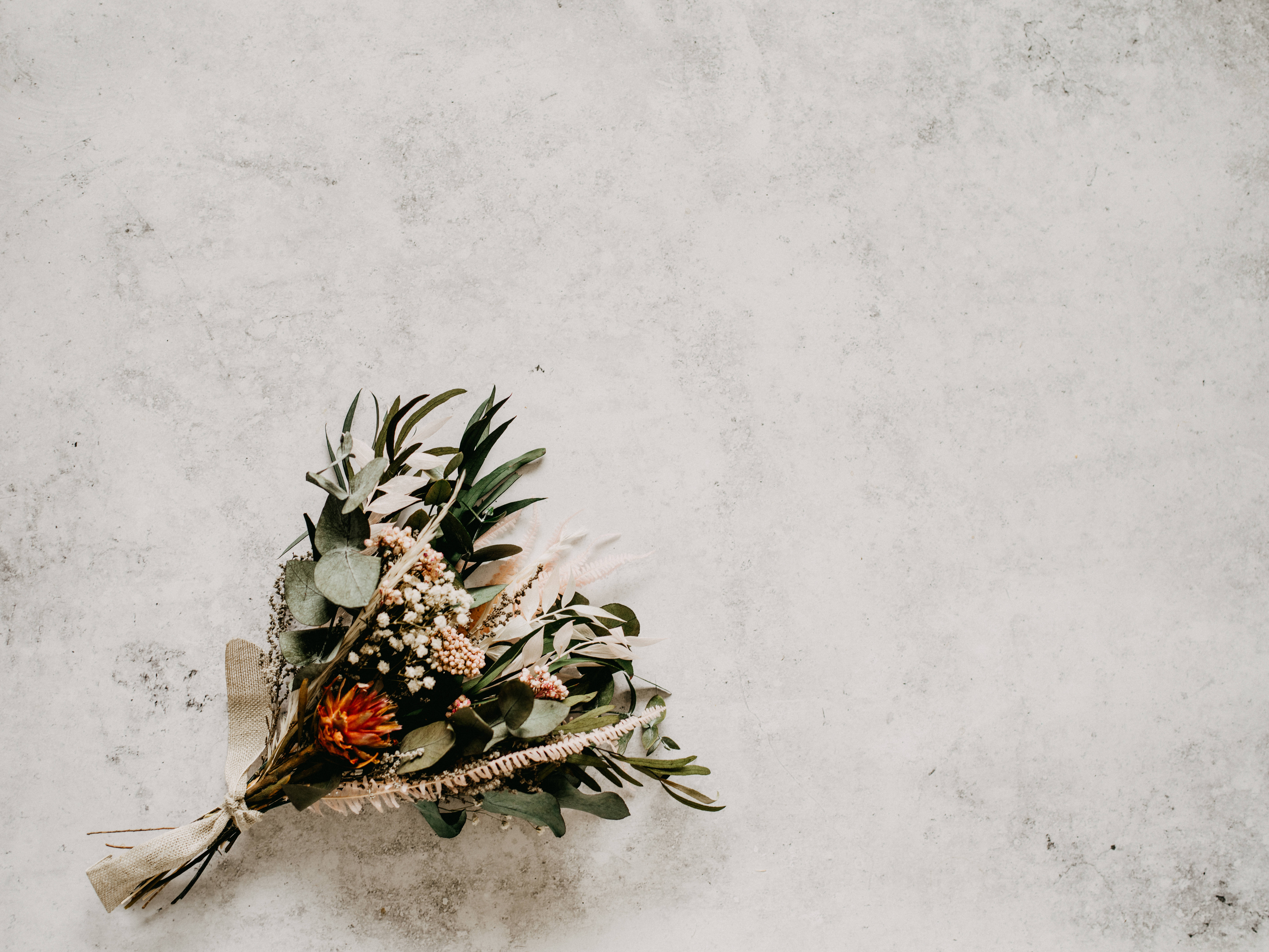 Valentines, flower bouquet, eucalyptus, 5K Desktop Wallpaper