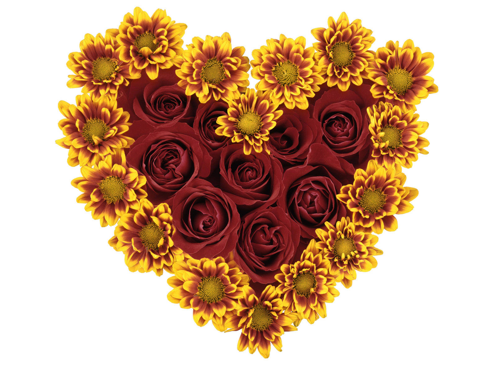 sunflowers, roses, flower heart, HD Desktop Wallpaper