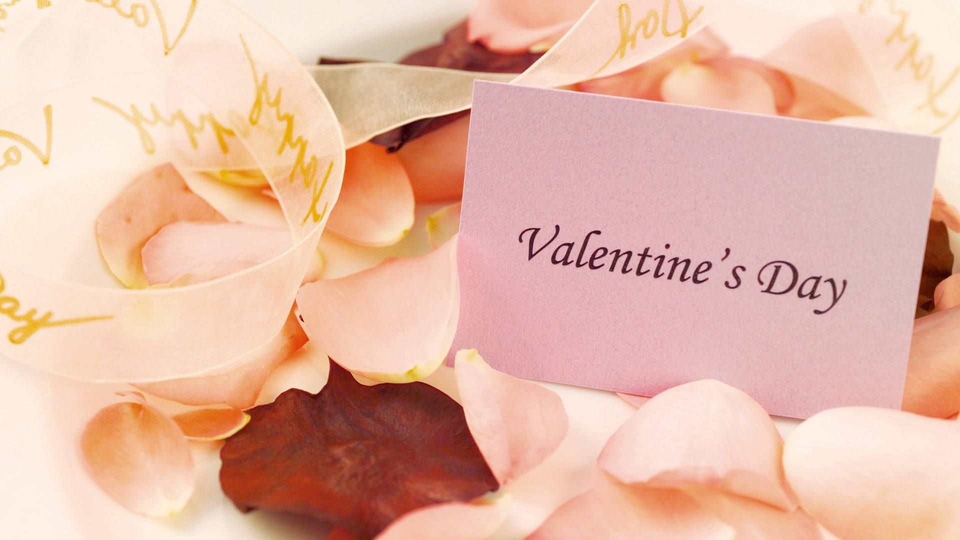 Valentine's Day card, rose petals, sheer ribbon, Full HD Desktop Wallpaper