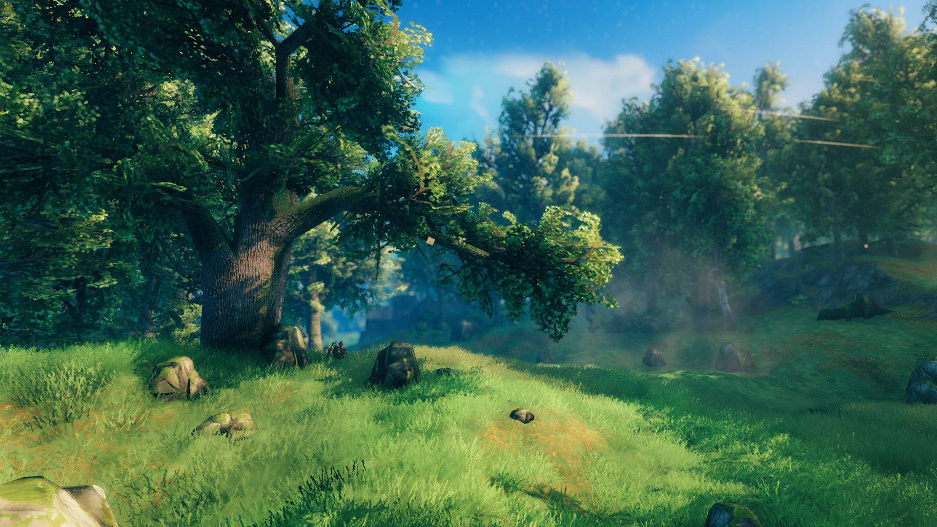 Valheim, plains, forest biome, Full HD Desktop Wallpaper