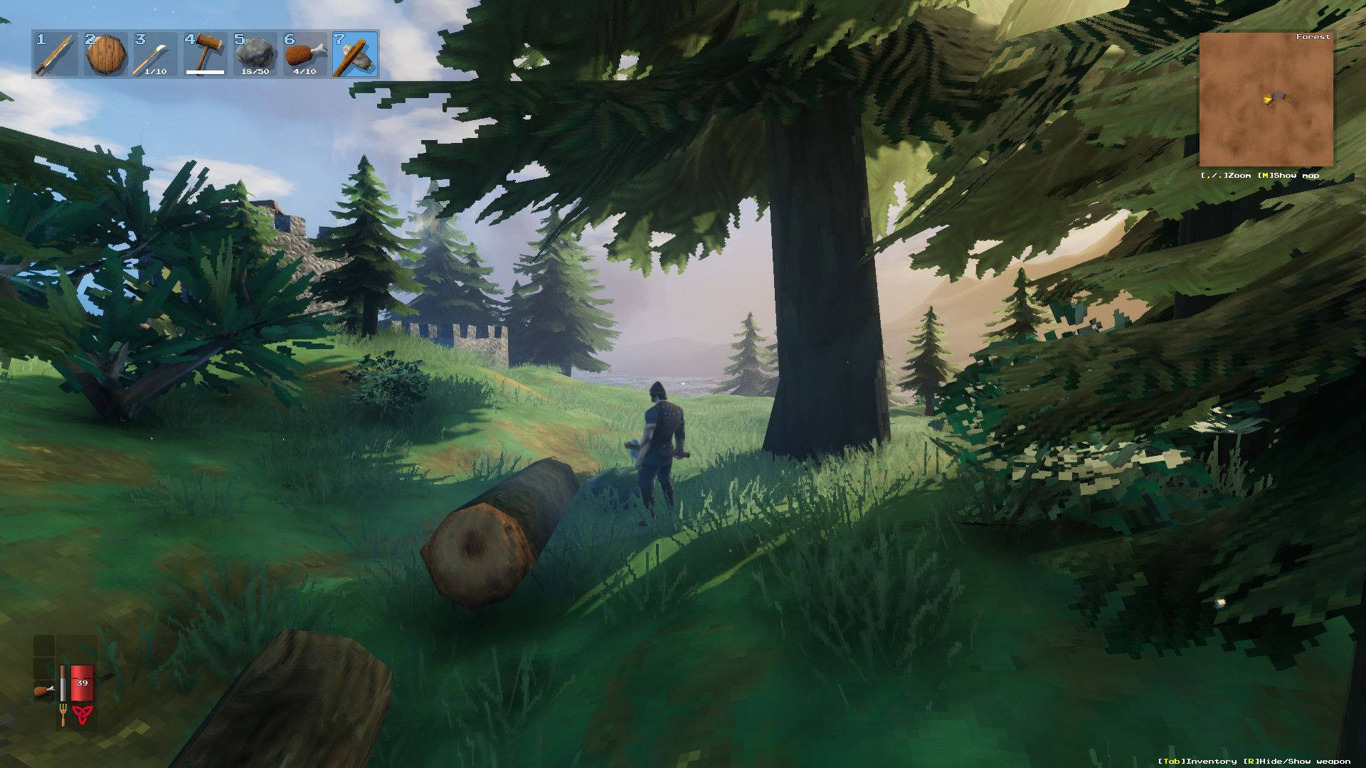 Valheim, player, wood, Full HD Desktop Wallpaper