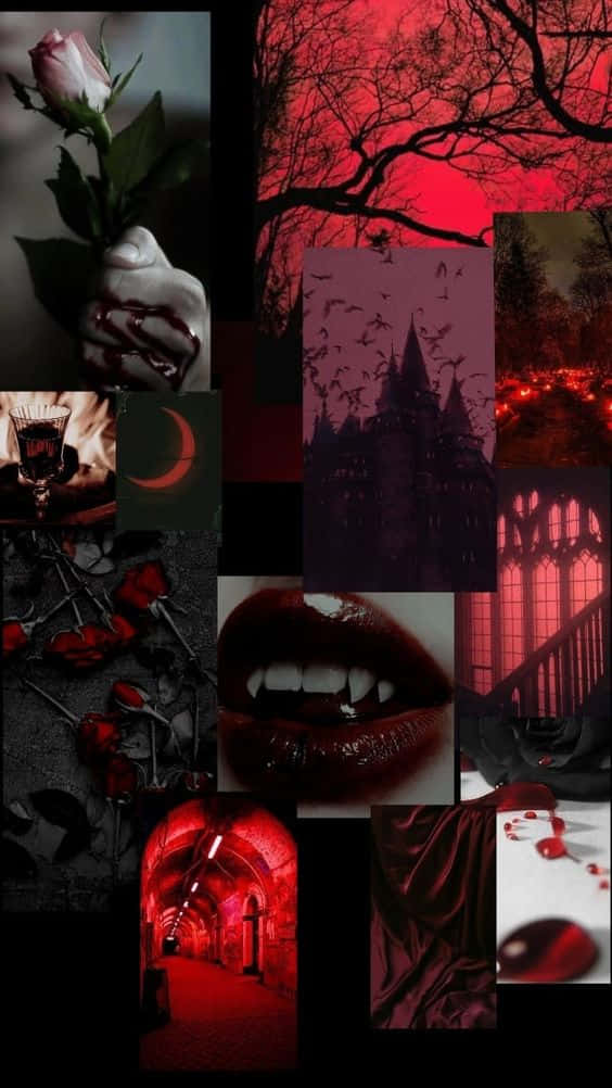 vampire fangs, bloodied roses, red-lit castles, SD Phone Wallpaper