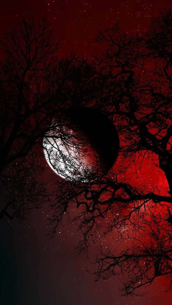 vampire aesthetic, full moon, blood red starry night sky, SD Phone Wallpaper