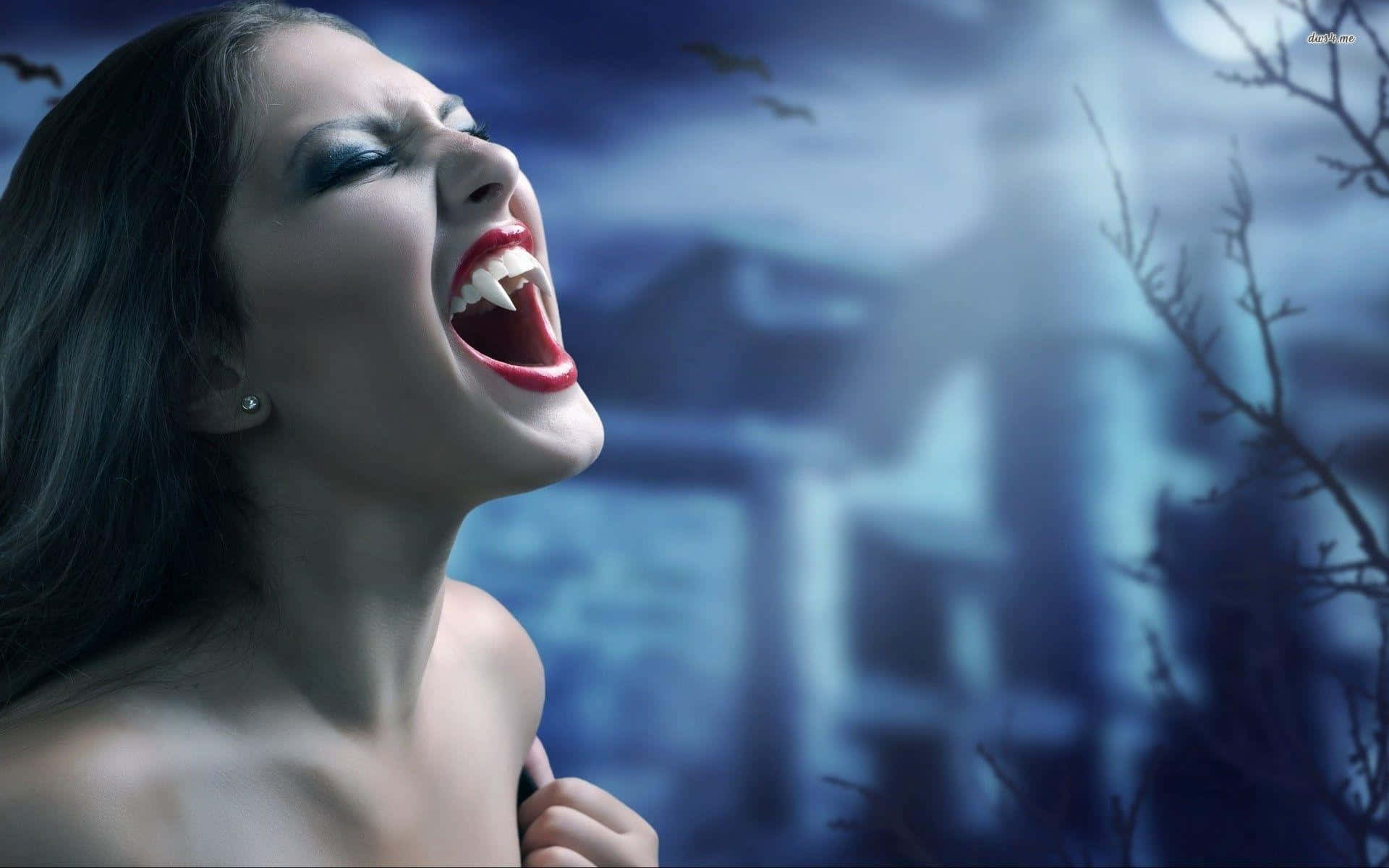 vampire, haunted house, moonlit sky, Full HD Desktop Wallpaper