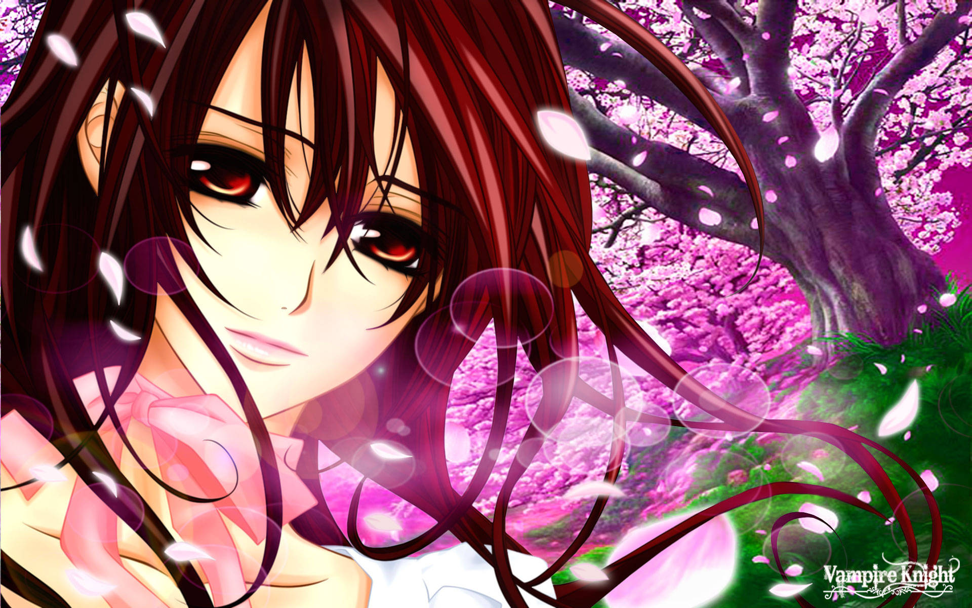 Vampire Knight, Yuki, cherry blossom tree, Full HD Desktop Wallpaper