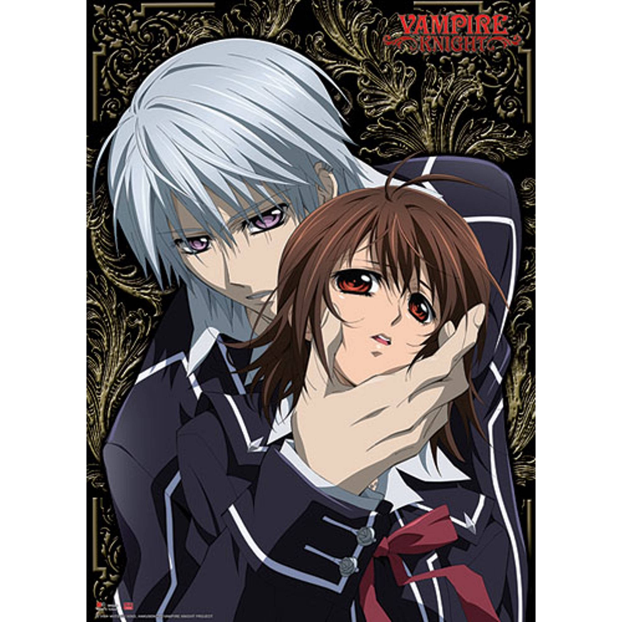 Vampire Knight, silver-haired vampire, brown-haired girl, Full HD Desktop Wallpaper