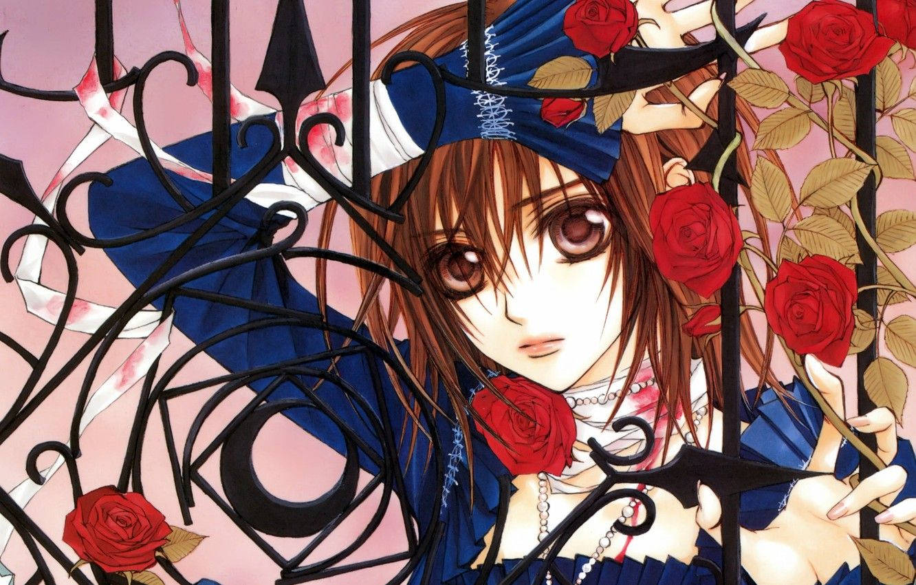 Vampire Knight Yuki, red roses, ornate black wrought iron gate, HD Desktop Wallpaper