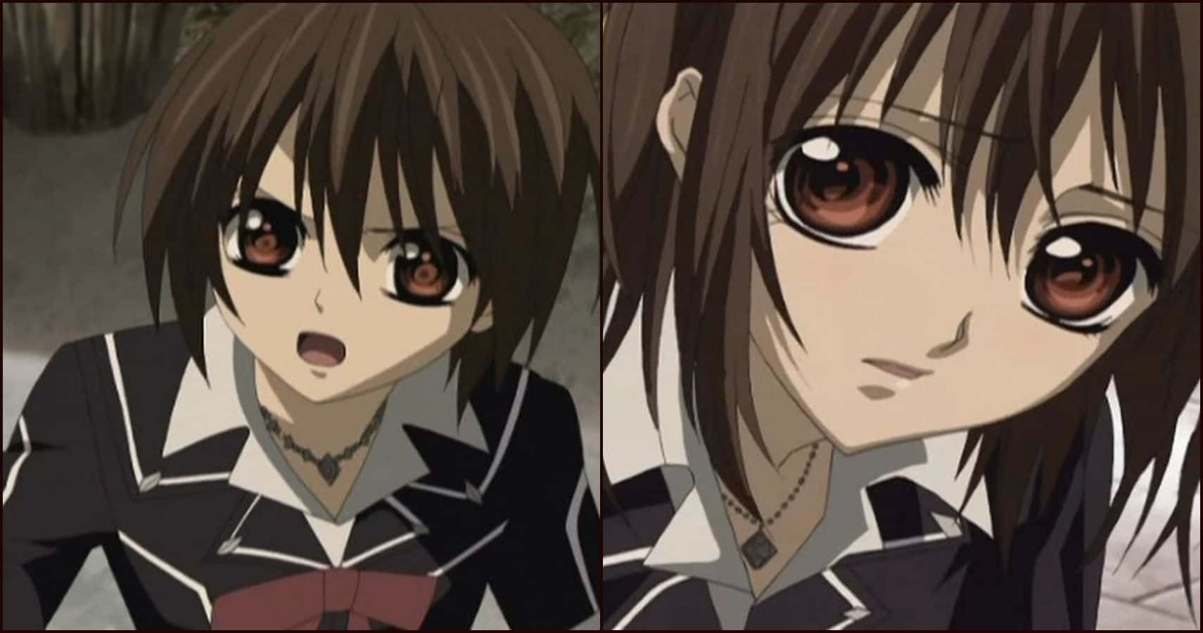 Vampire Knight Yuki, brown hair, eyes, HD Desktop Wallpaper